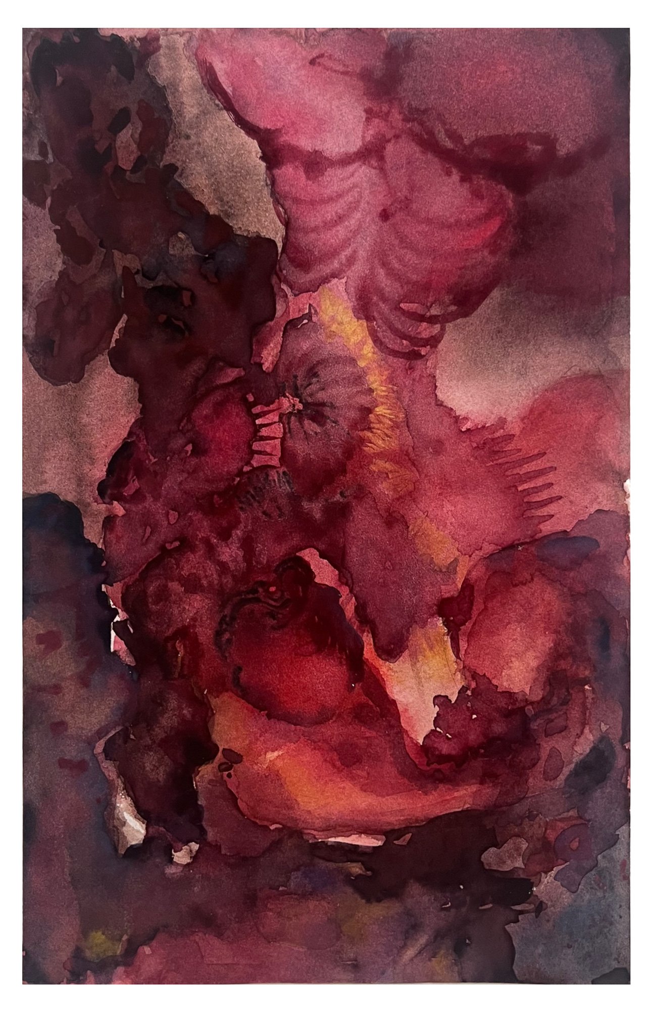 Xinqiao Fu_Xinqiao fu_Breed_2024 - xinqiao fu_BlueShopGallery_WOP7_003.jpg