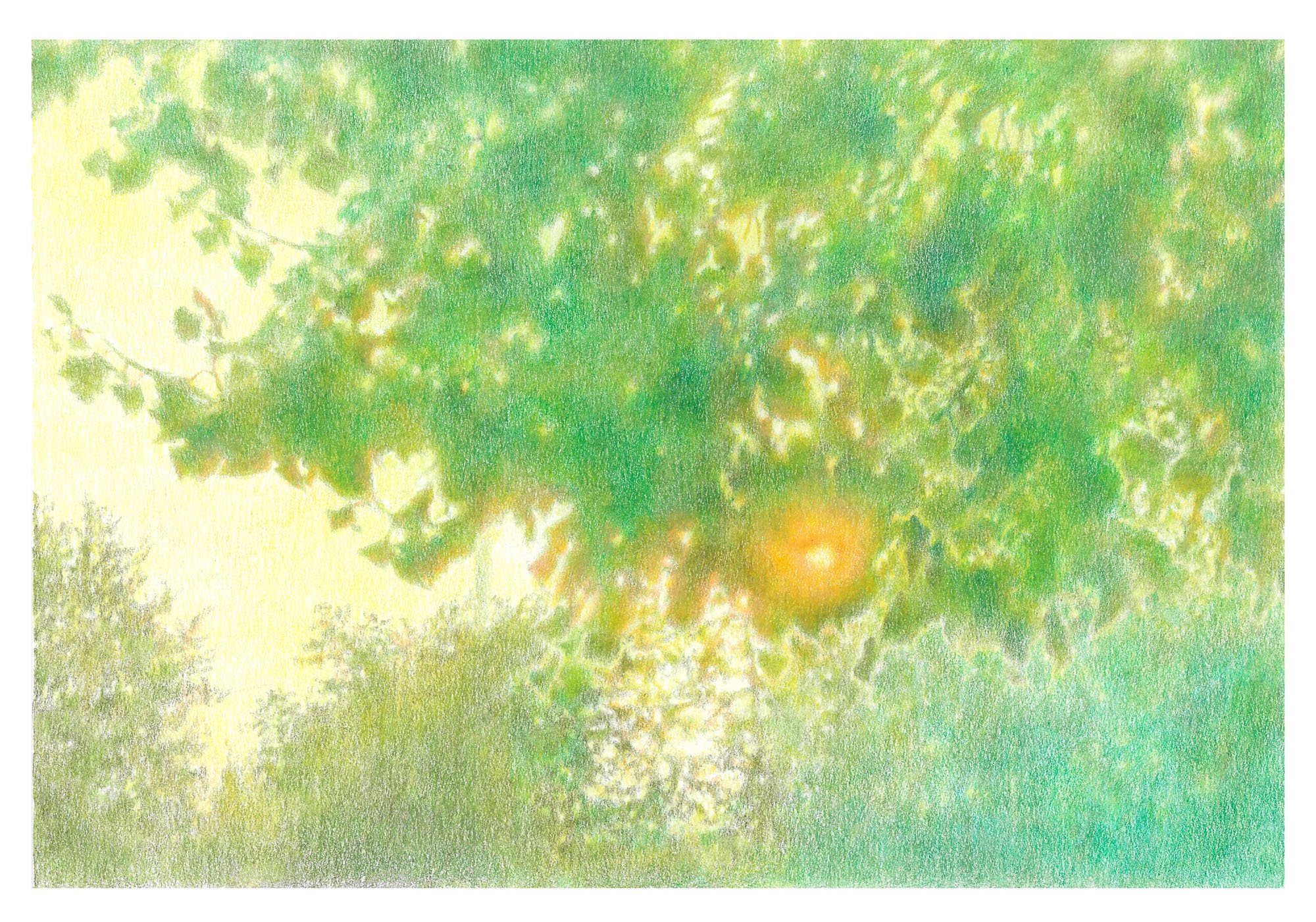Yifeng Liao_love spreads like the flowing green by Yifeng Liao2 - Molly_BlueShopGallery_WOP7_001.jpg
