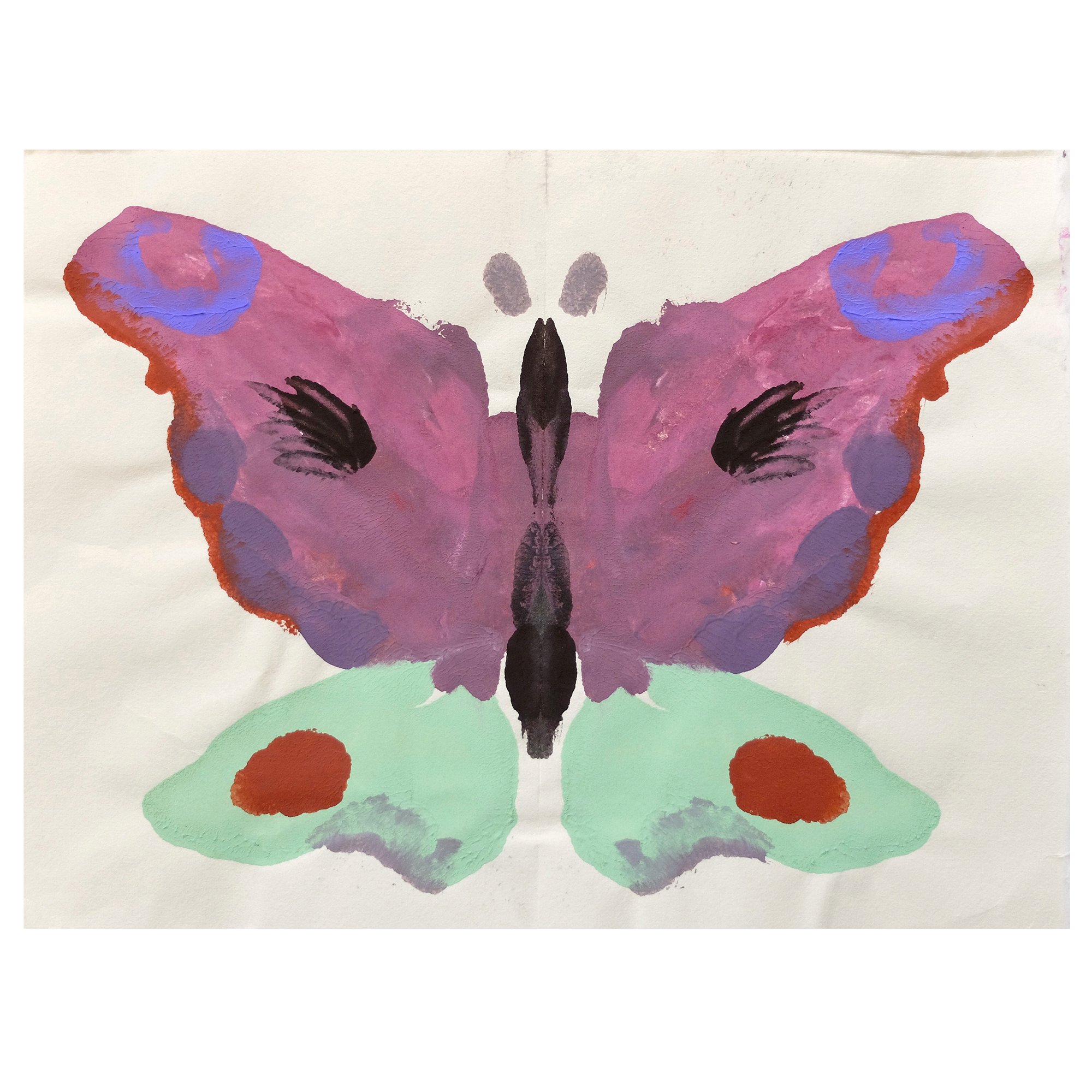 NedElliott_sq_smallbutterfly_48.jpg