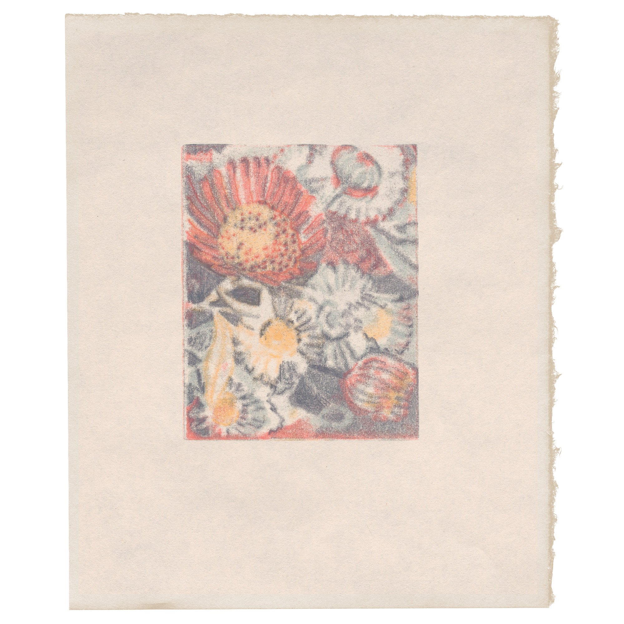 'Daisies IV (May)' by Liza Kelly