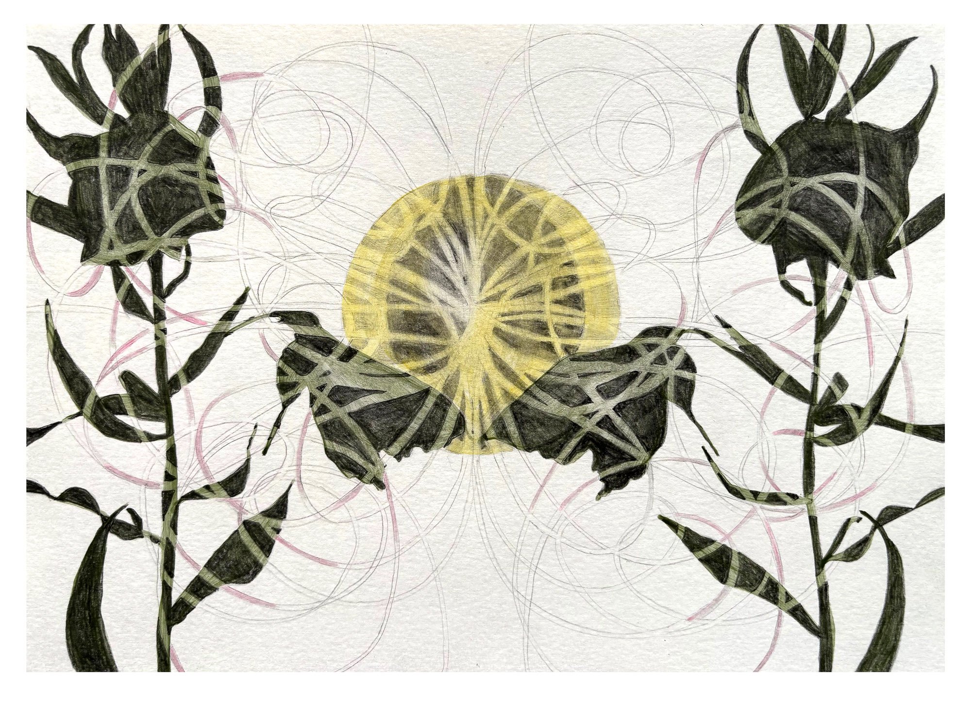 Louise Pettifer_Magic Moon and Beautiful Mathematics by Louise Pettifer - louise pettifer_BlueShopGallery_WOP7_002.jpg