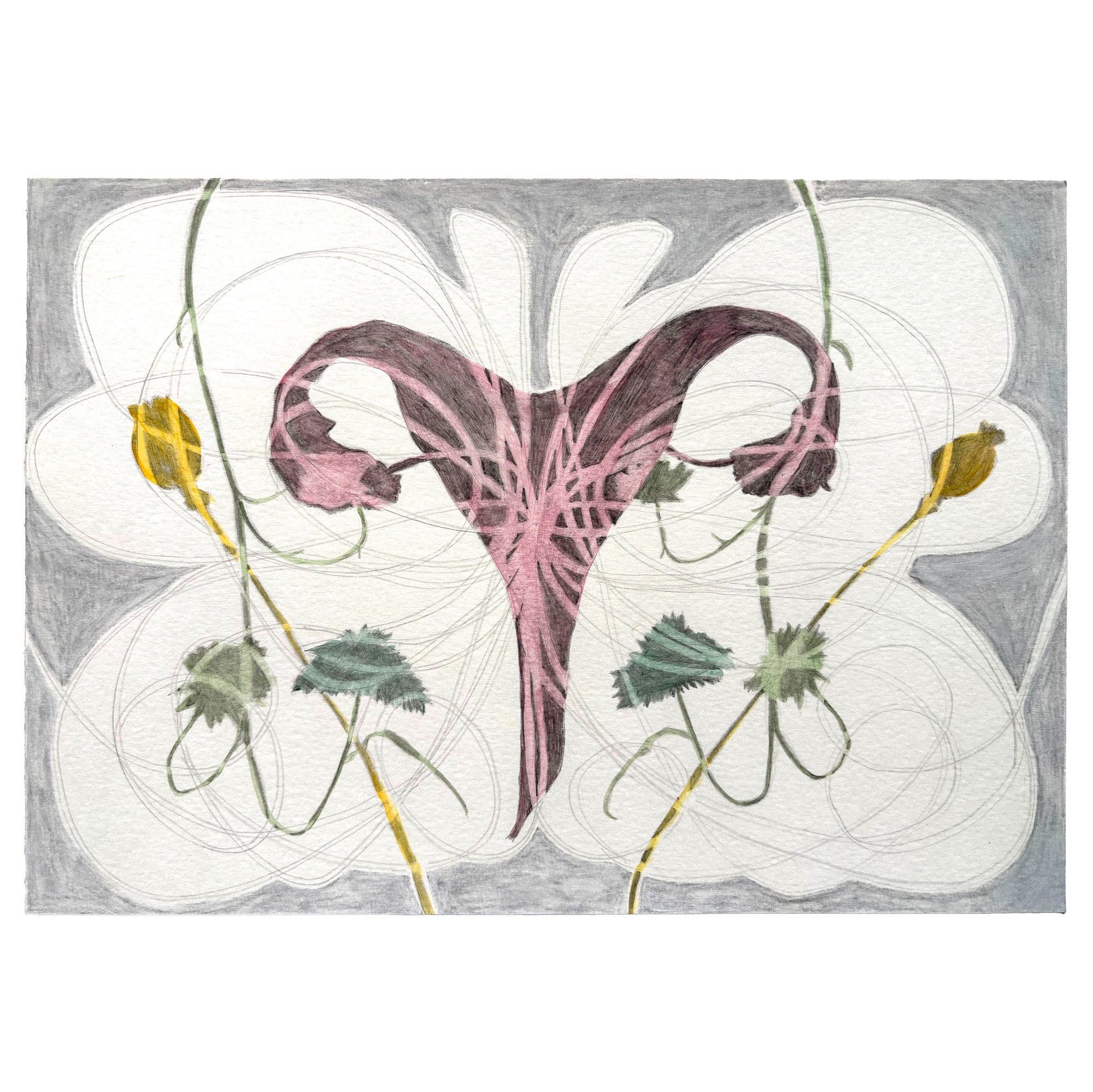'Root' by Louise Pettifer