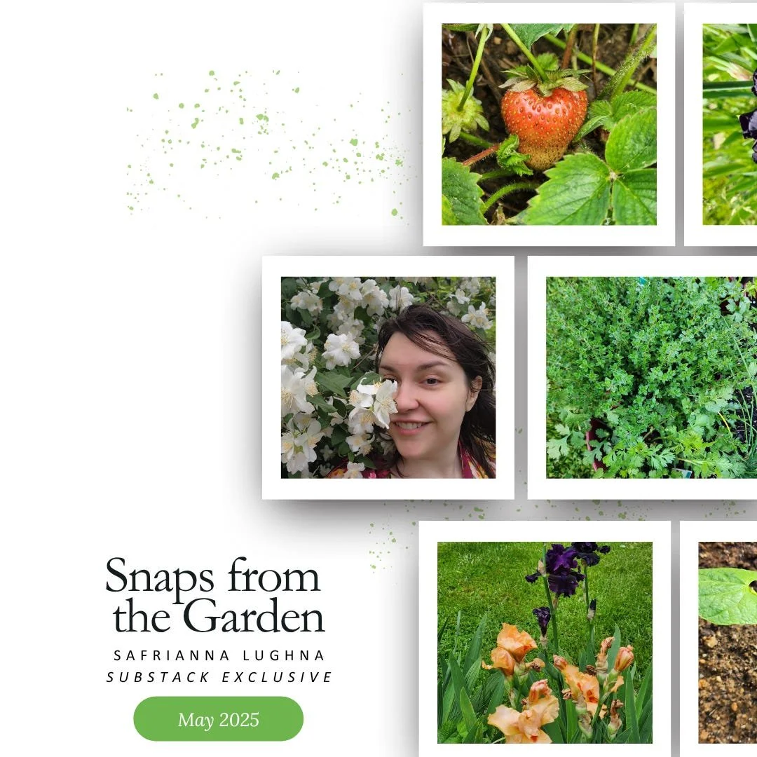 My Snaps from the Garden Series