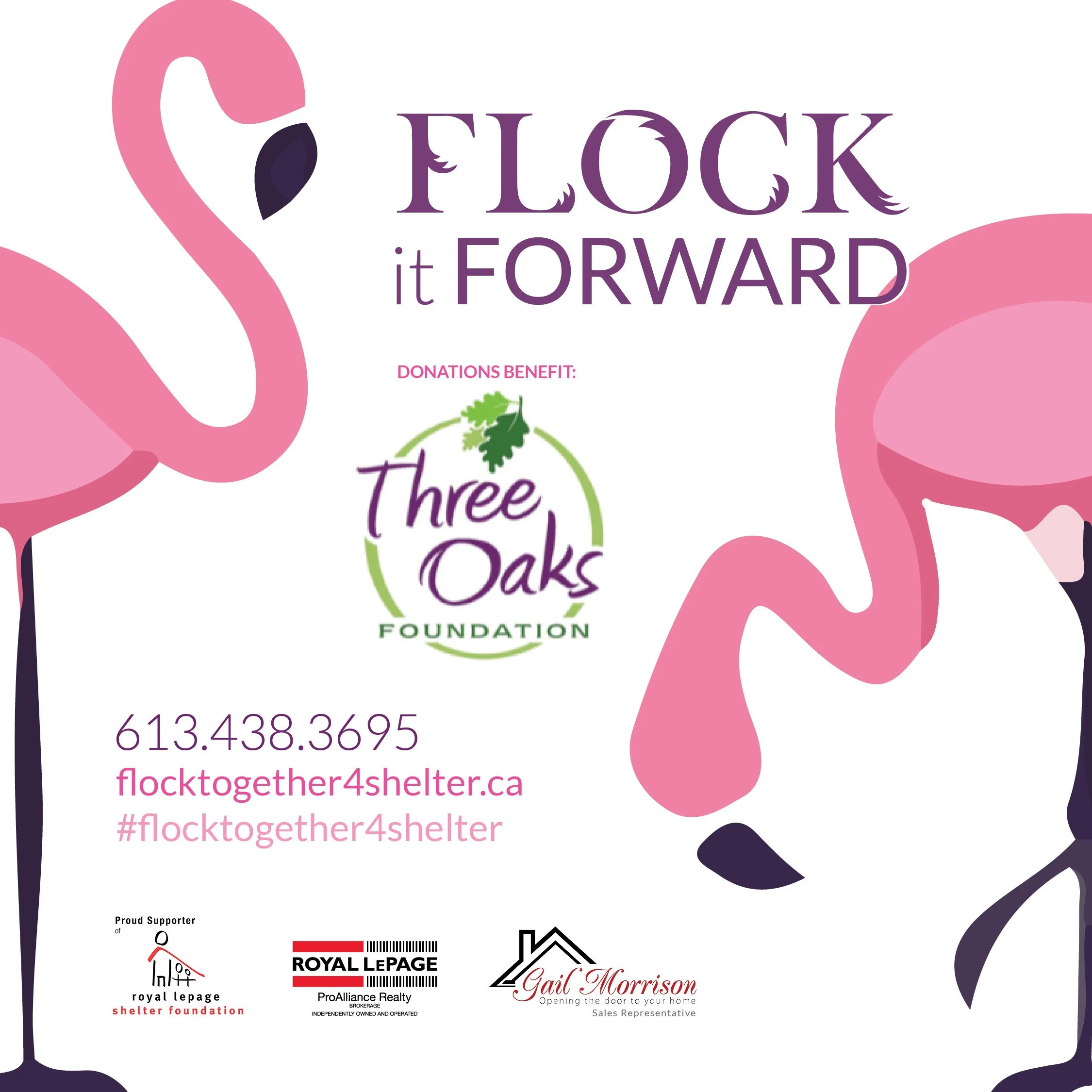 Flocked 4 Shelter 