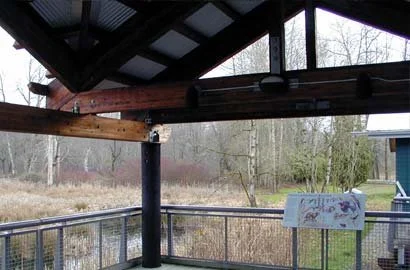 nisqually4.jpg