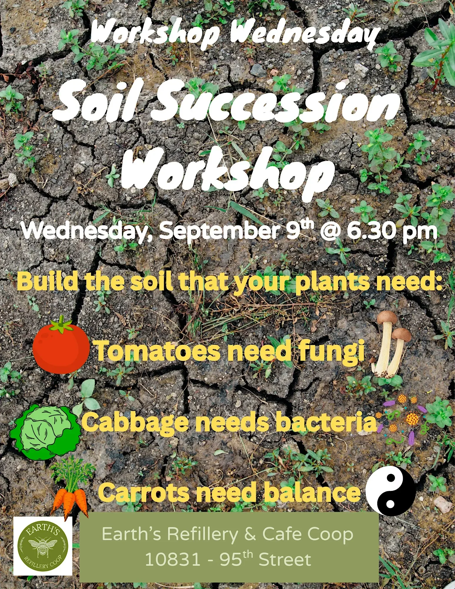 Soil Succession Workshop