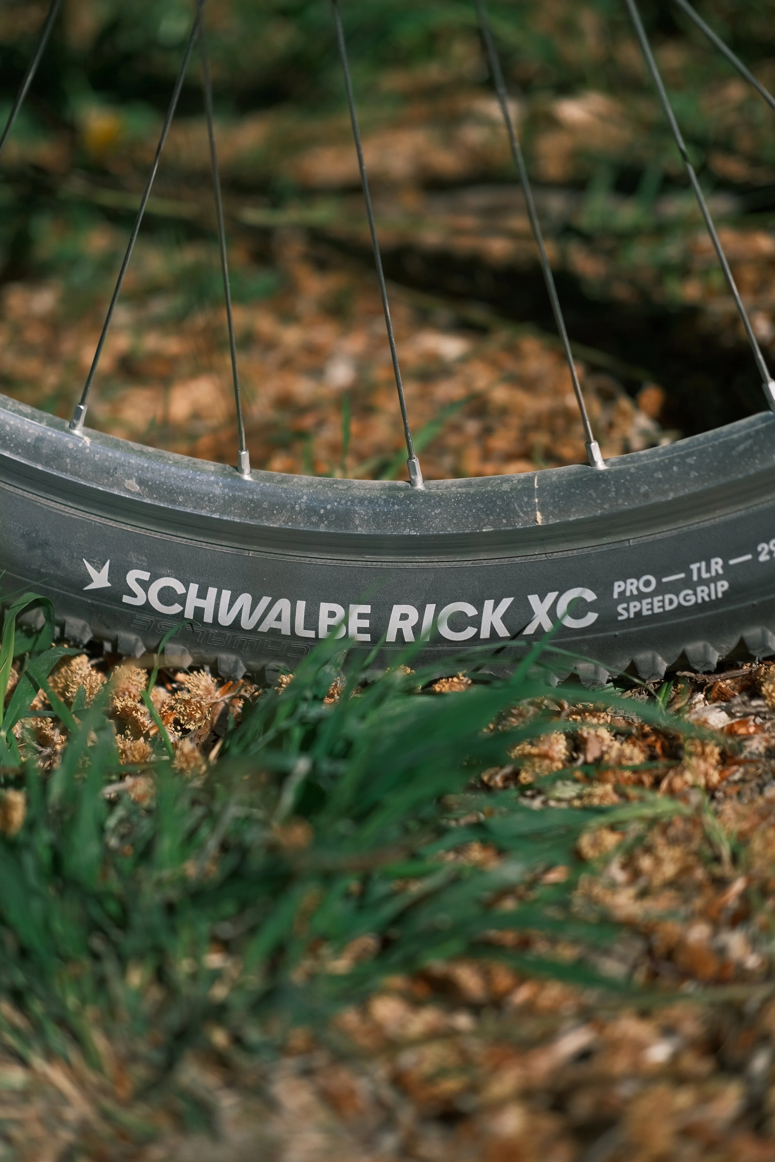 Schwalbe Rick XC Pro Testbericht – 1250 km mit einem Weltcup-Reifen