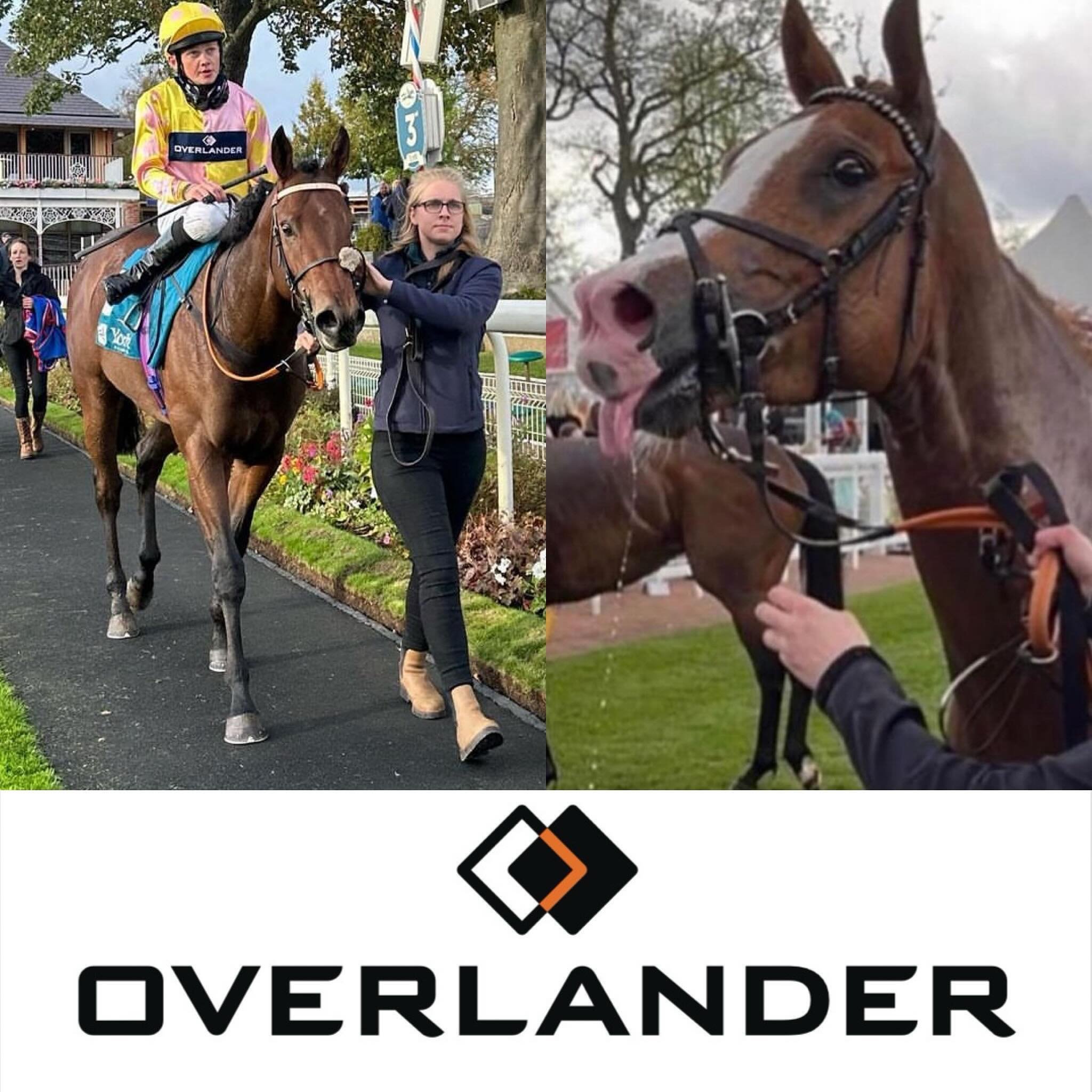 A trip out to @thirskraces 

4.20 Curious Rover for @ursamajorracing under Oisin Orr

6.05 Slainte Mhath for The Katie Scott Racing Syndicate under Phil Dennis 

Good Luck Everyone
🍀🍀🍀

@overlandervehicles 🚛🚚