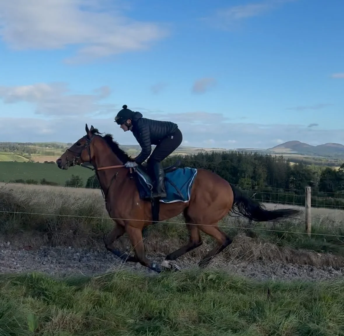 Out and about this morning 

Gweedore - Abby
Figjam - Greg
Luna A Inbhir Nis - Charlie 
Yard By Yard - Mary