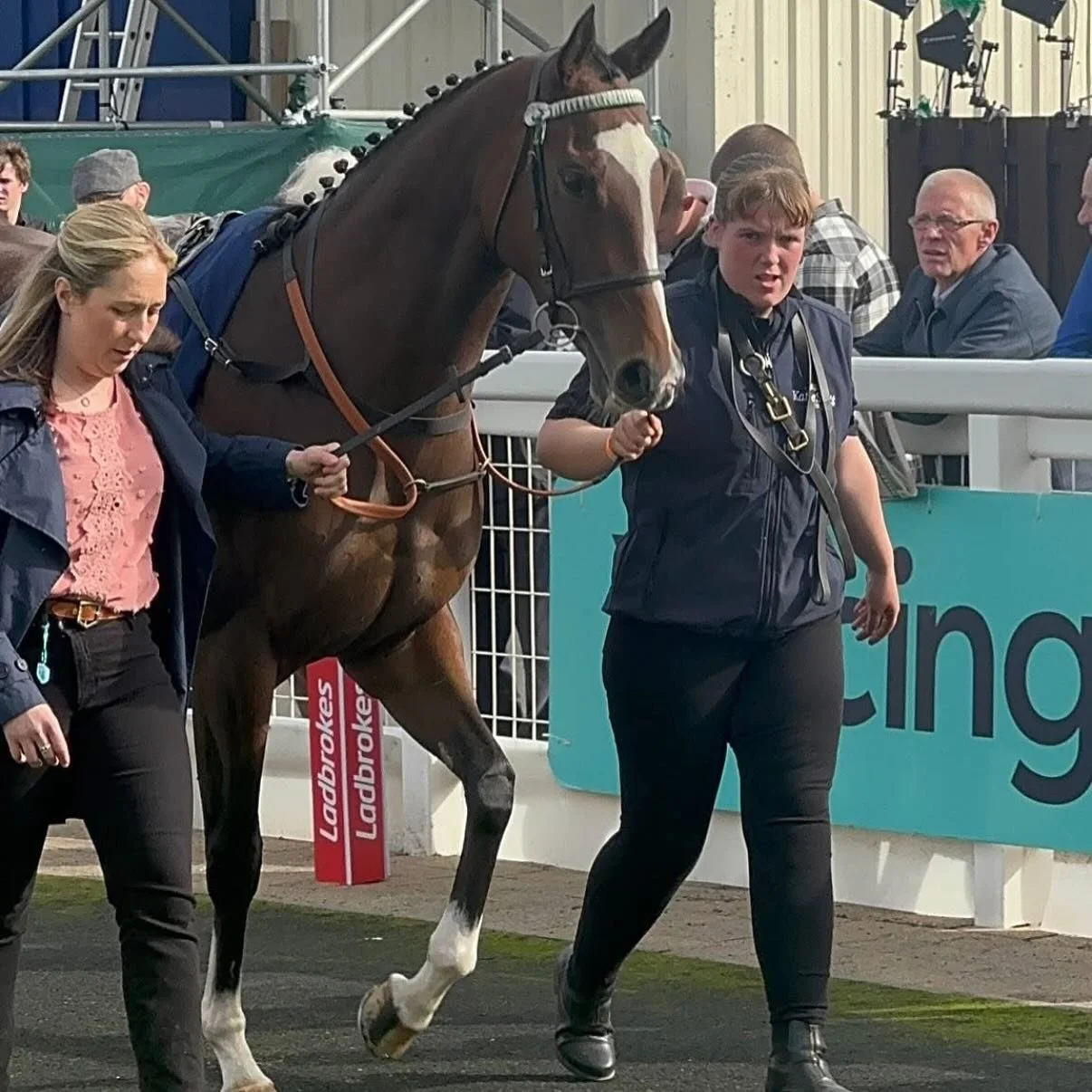 Superstar Luna a close 5th today in Class 1 Listed Company. She was so tough after a bumping about in the middle of the race and dug deep all the way to the line. 

Home in time for golden hour in the paddock 🌅

Very proud of all our wee team tonigh