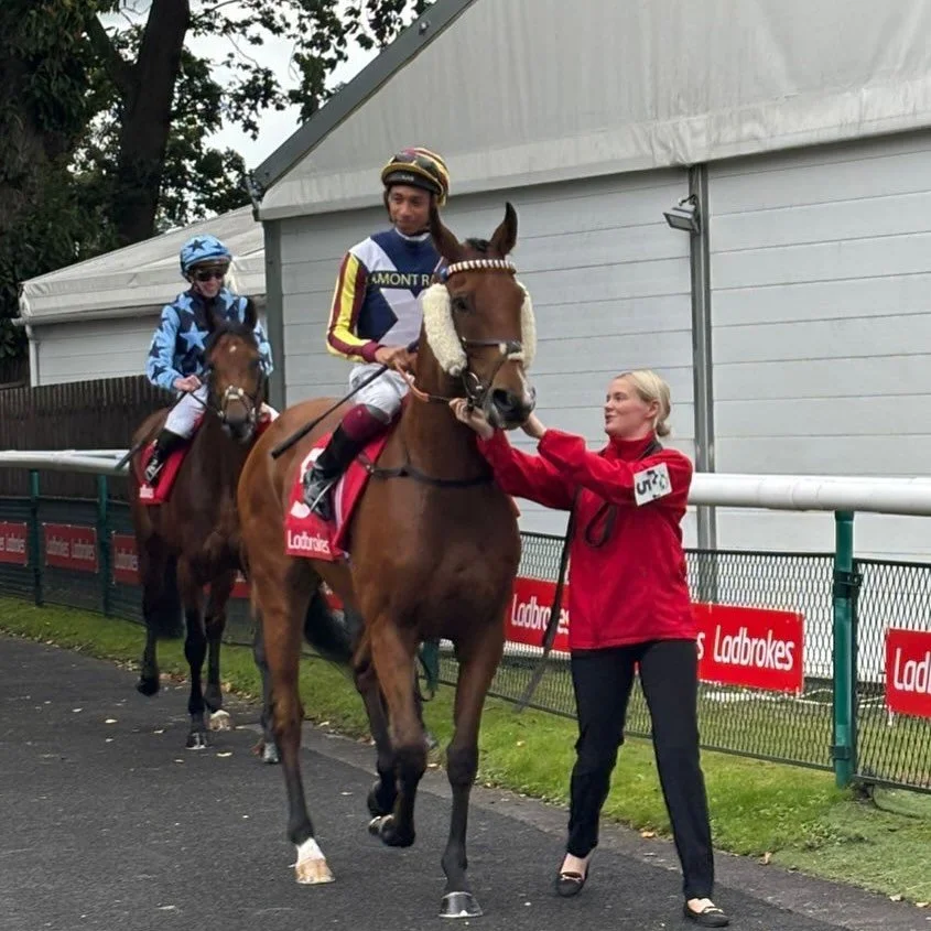 RESULTS

Gweedore 7th
Figjam 4th 

Gweedore showing loads of enthusiasm first run back from a niggling injury and looks ever green ahead of an autumn campaign. 

Absolute legend that he is 🌟 

Eva will have us all dreaming big dreams tonight after f