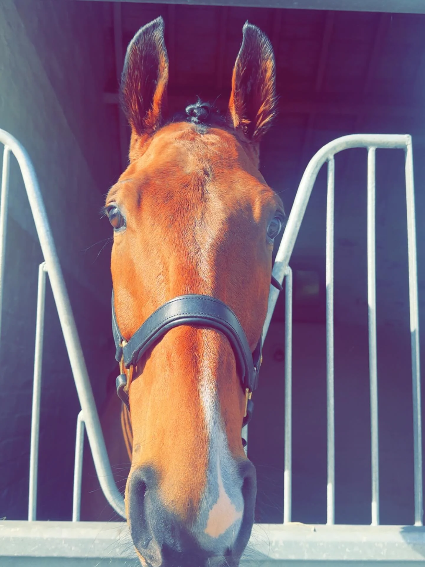 Gweedore 7th in the ultra competitive Coral Sprint Cup 

What a legend 🌟

Lamont Racing
