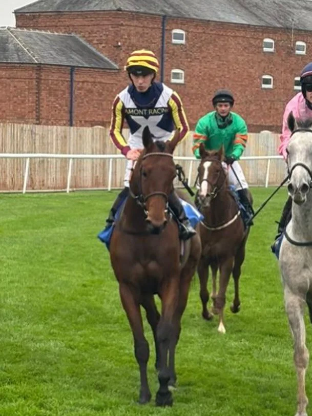WINNER 🏆

Figjam scores cosily under Rowan Scott for @lamont_racing . 

A scopey filly who promises even more with another winter under belt, purchased by Conor Quirke 

Well done team, especially Abby who does loads with her and took her to Leicest