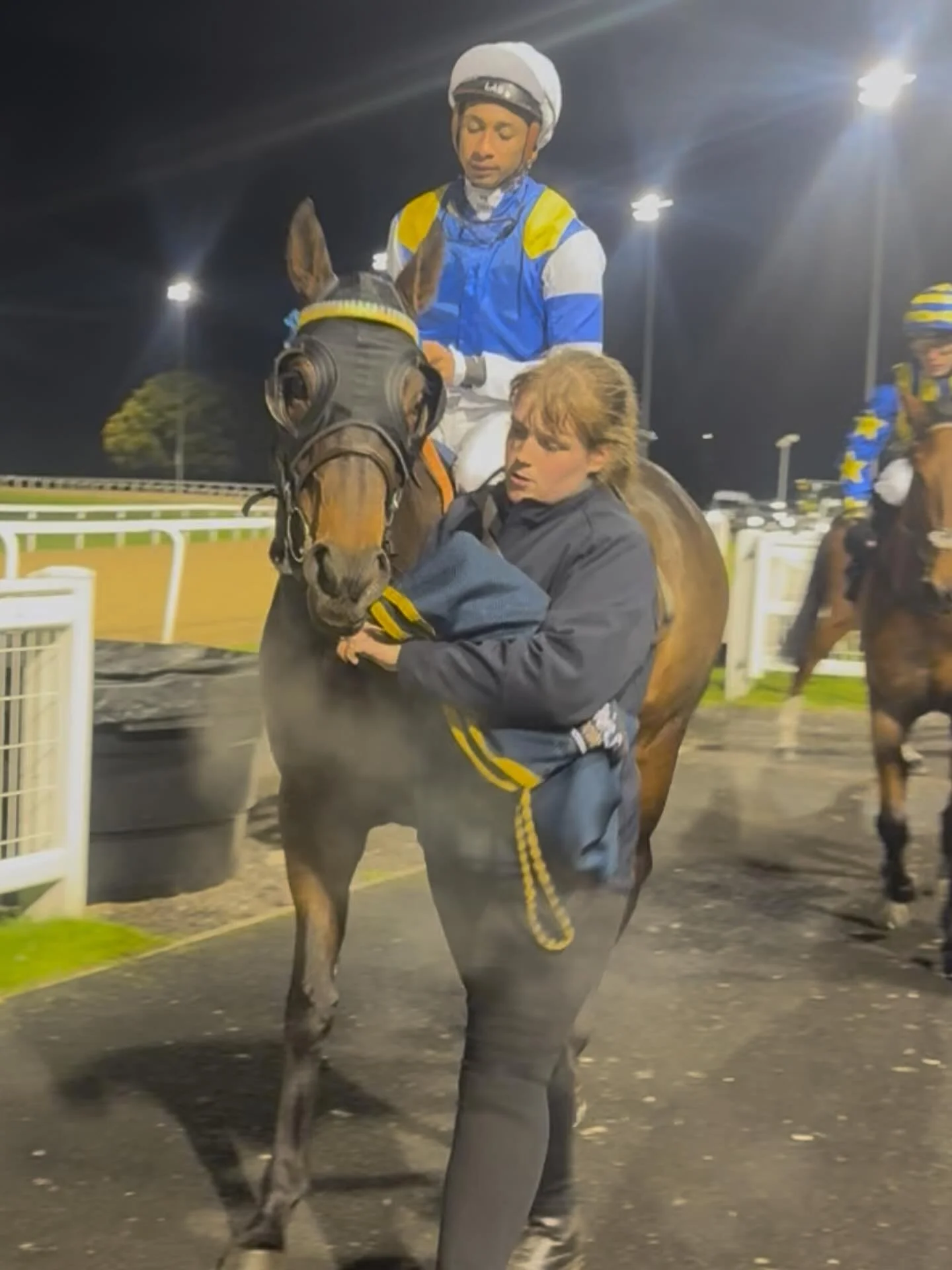 Concert Boy 🥈🥈🥈

A great start to the AW campaign for this dude, lovely ride by Kaiya and turned out to win BTO by Chloe. 

Well done to owners @makingheadwayracing_ who also had the winner.