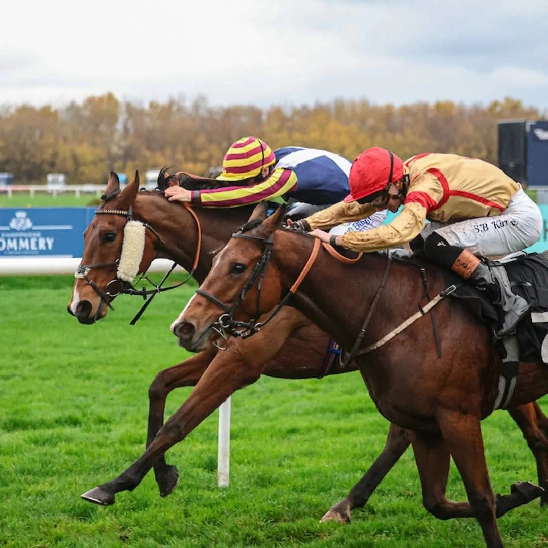 WINNER 
🥇 🥇🥇

Gweedore wins at Musselburgh Racecourse in gritty fashion under a peach from Jason.

Great to get his head back in front for owners Lamont Racing . A poignant win for Craig who lost his mum Agnes yesterday. 

Well done all the team a