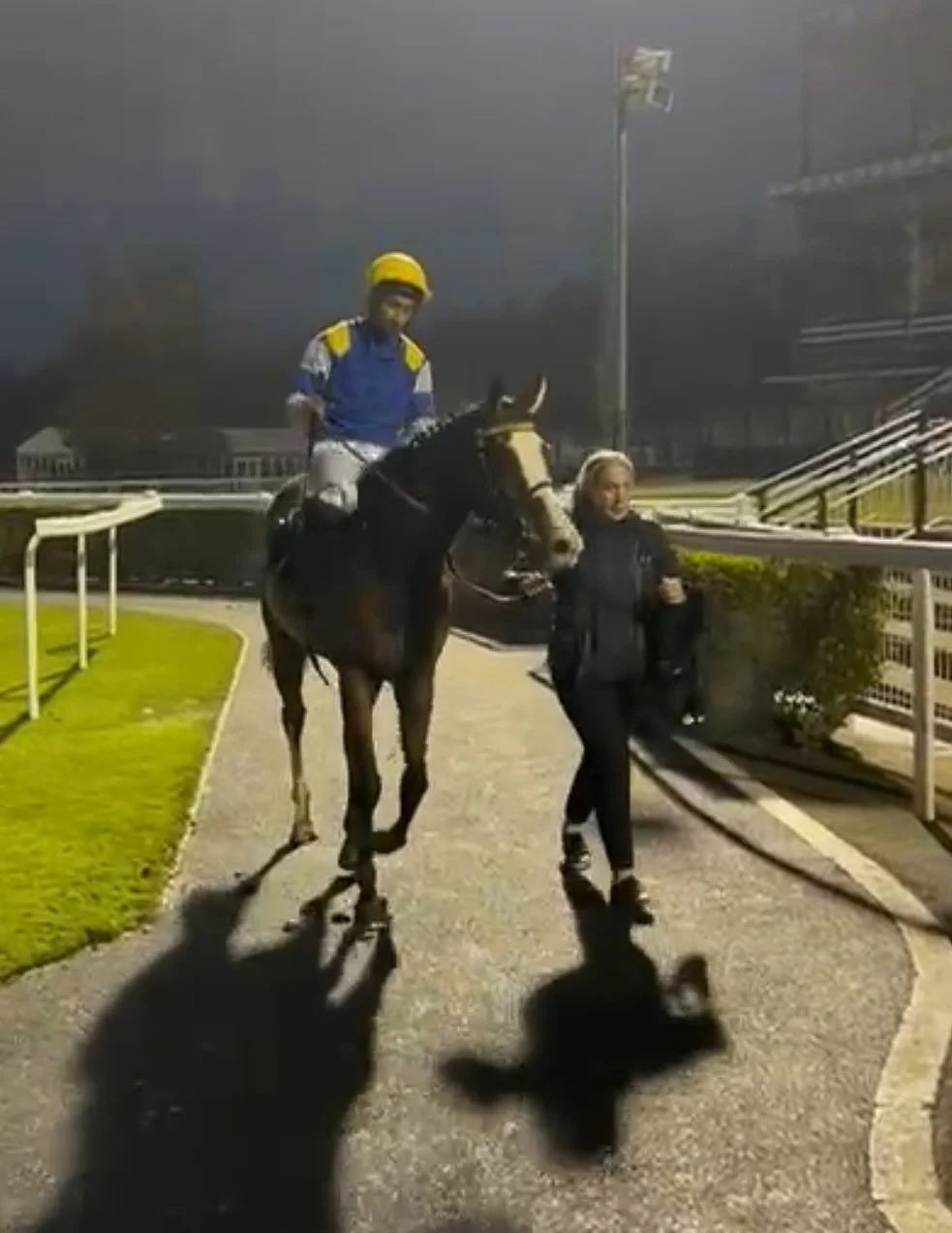 Orbital Chime 
🥈 🥈🥈

Frustratingly close finish but a good run from the wee man. 

@makingheadwayracing_