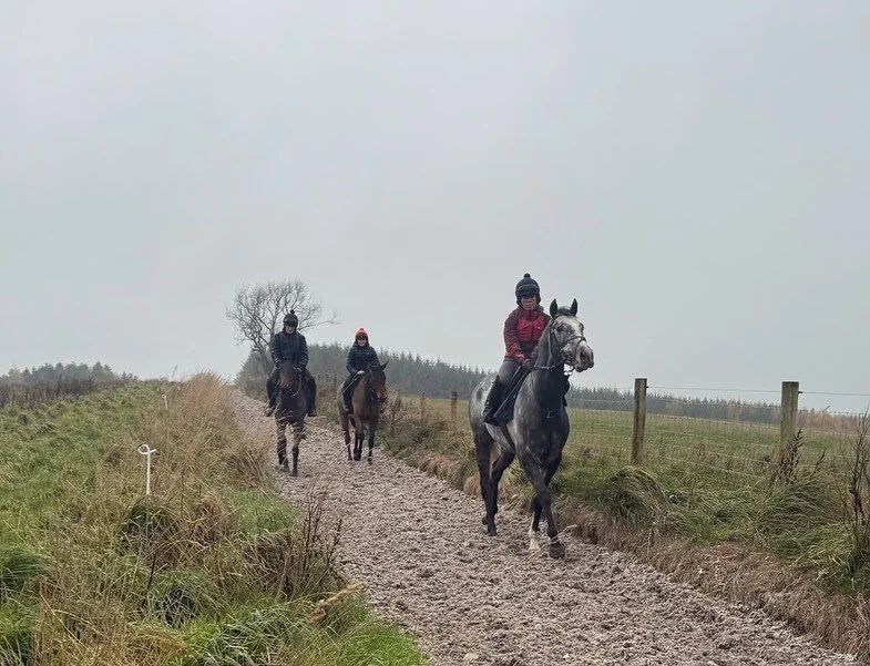 Gressington (@ursamajorracing ) leading two unnamed 2yos up the gallop this morning. 

Gressington - Steph
Kitty - Abby
Katie - Charlie

The girls will hopefully hit a racecourse the start of 2026&hellip;.