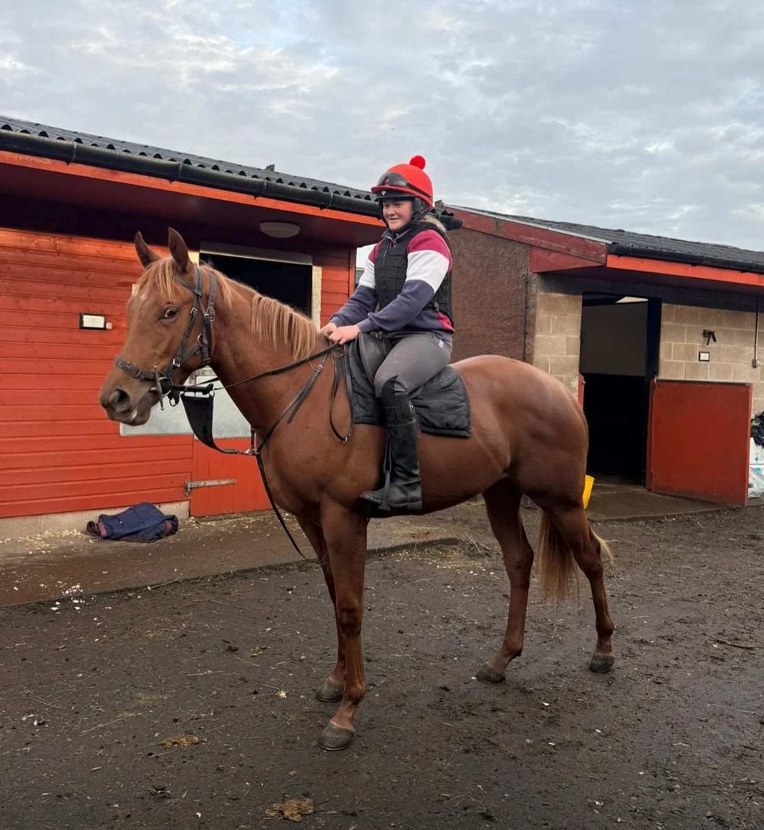 &ldquo;Hallie&rdquo; our beautiful Sotsass yearling that we have started off this week for @lamont_racing , top job by the girls on the yard.