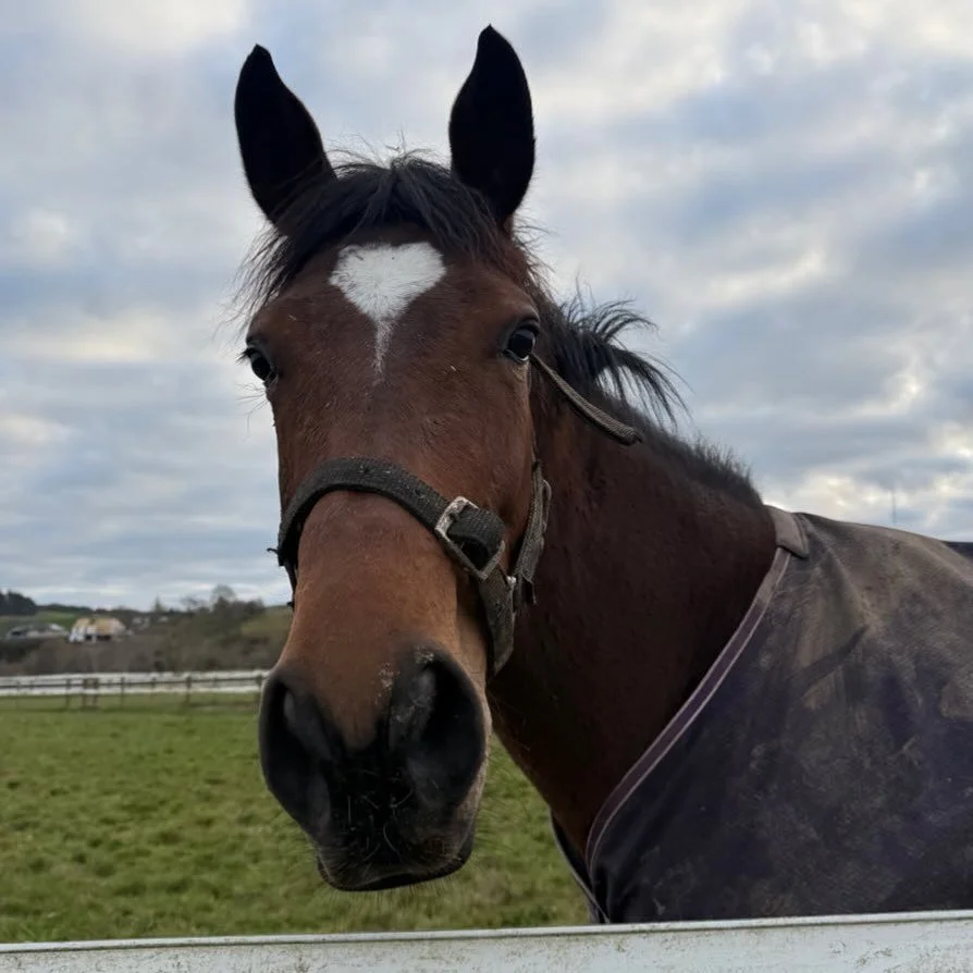 Happy Sunday from Roz Pops 💕