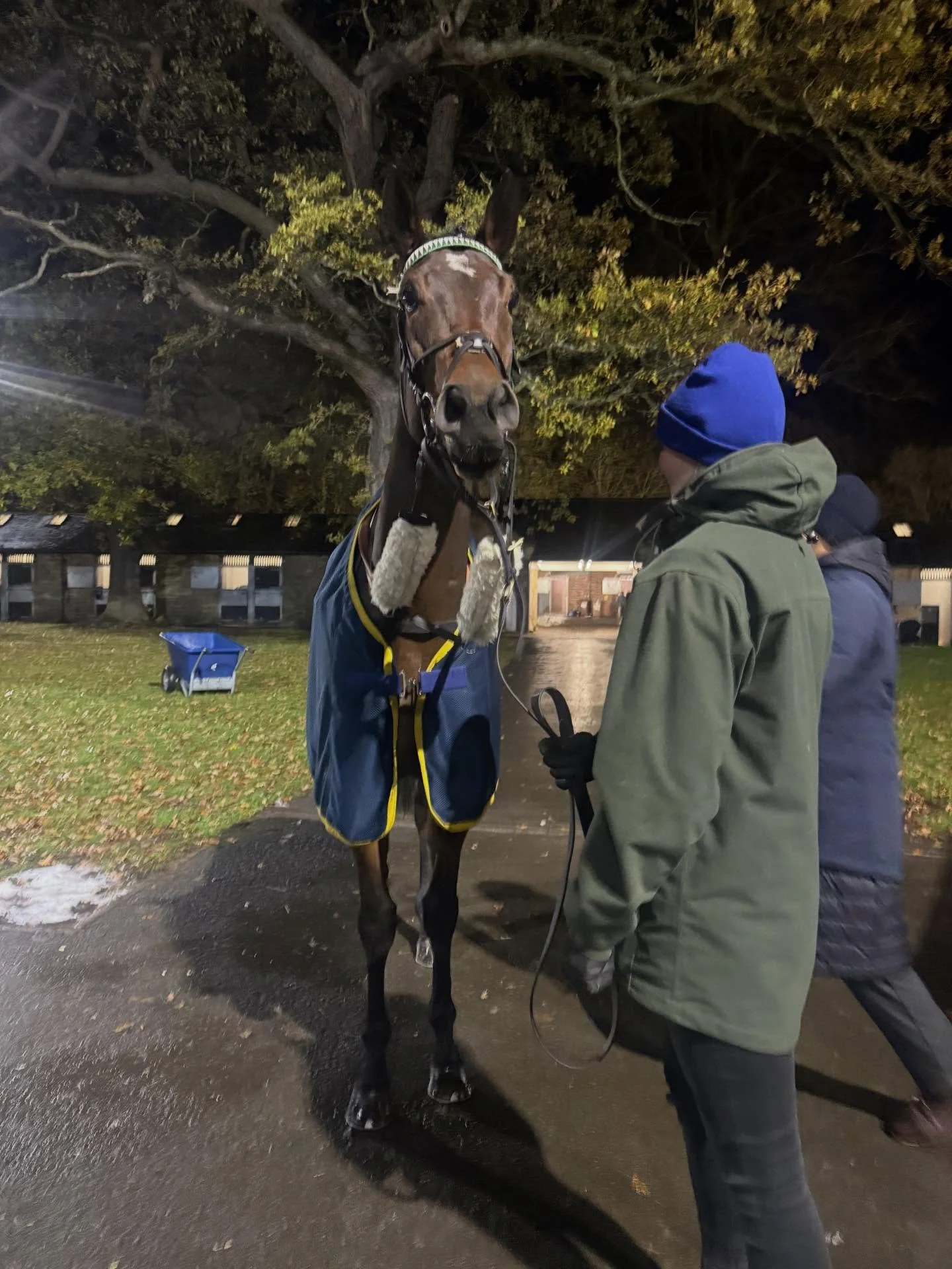 Yellow Lemons 4th

Steadily improving in her runs, a lovely filly 💚