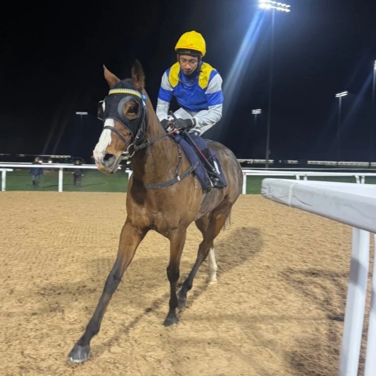 WINNER 
🏆 🏆🏆

Orbital Chime overcomes a tricky draw under a lovely ride from Kaiya to score for @makingheadwayracing_ , Eddie and Jim 

Journey home seems a bit shorter now! 

Well done team 🙌🏽