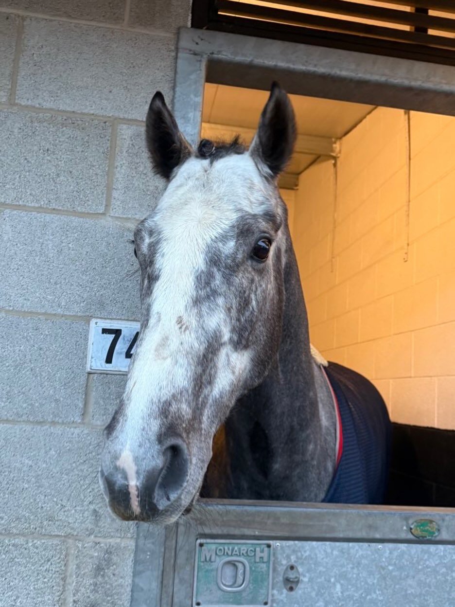 Gressington 6th 

Another solid run for Gorgeous Greg, hit the line hard and picked up BTO to 

💕💛

@ursamajorracing