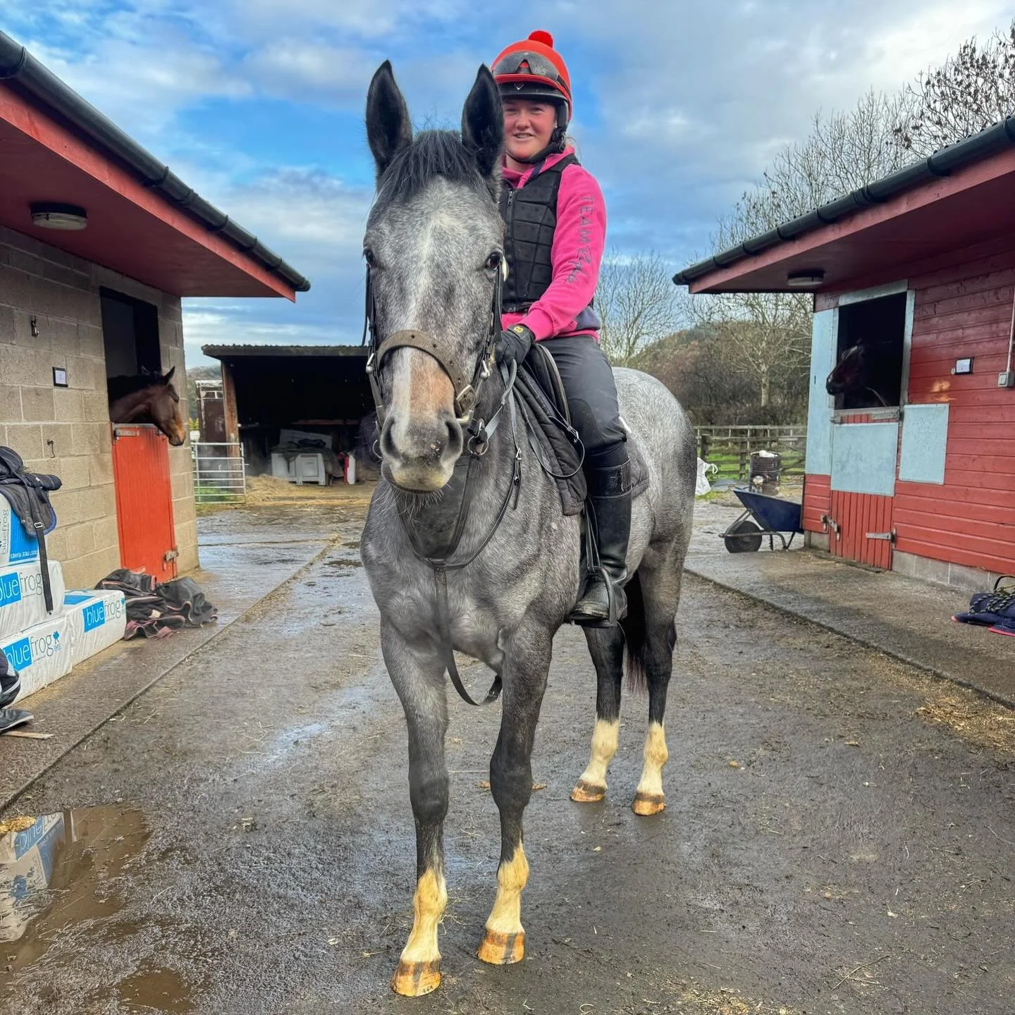 Simon our Inns Of Court yearling this morning, happy Monday everyone 💕💛

@ursamajorracing