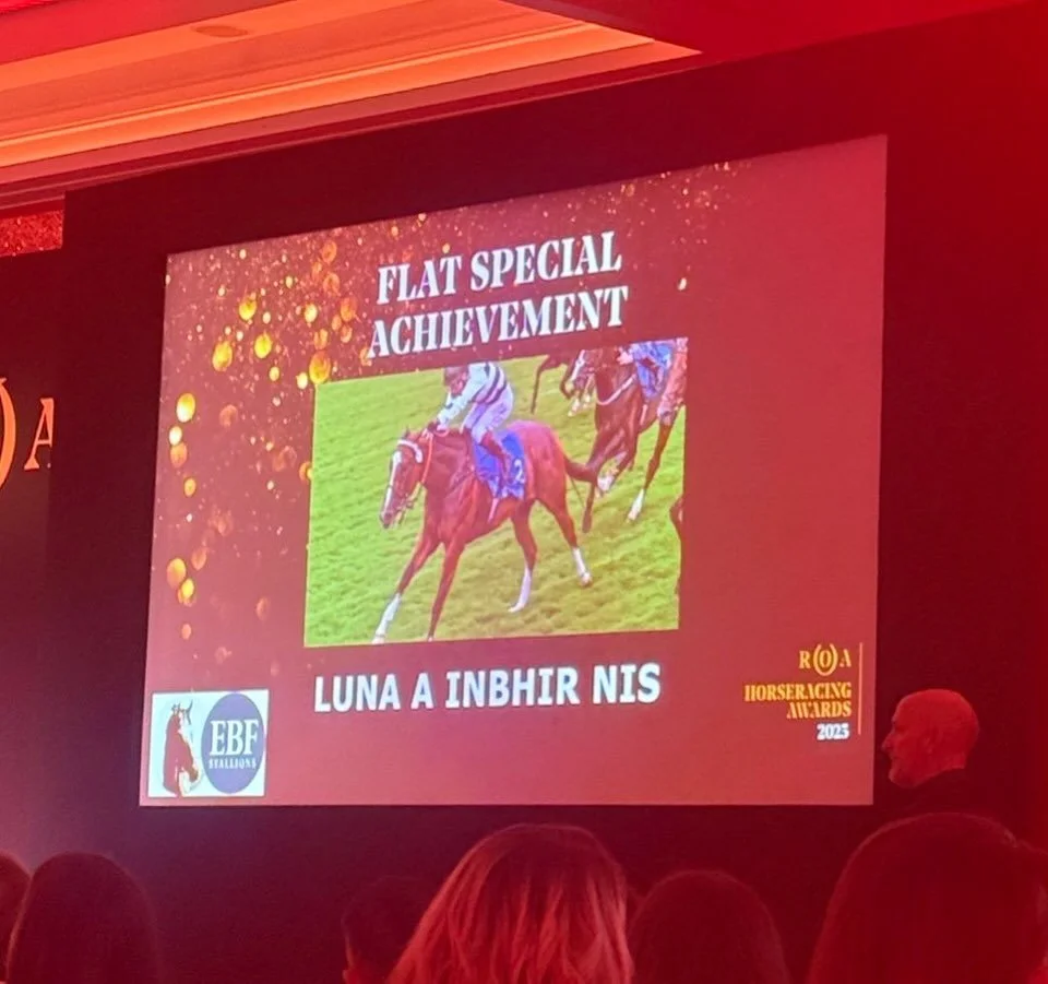 Fantastic to attend the Racehorse Owners Awards last night. 

Very proud that Luna was nominated for the Flat Racing Special Achievement Award.

Our owners @ursamajorracing were also represented in the Flat Syndicate Of Year category. 

A great night