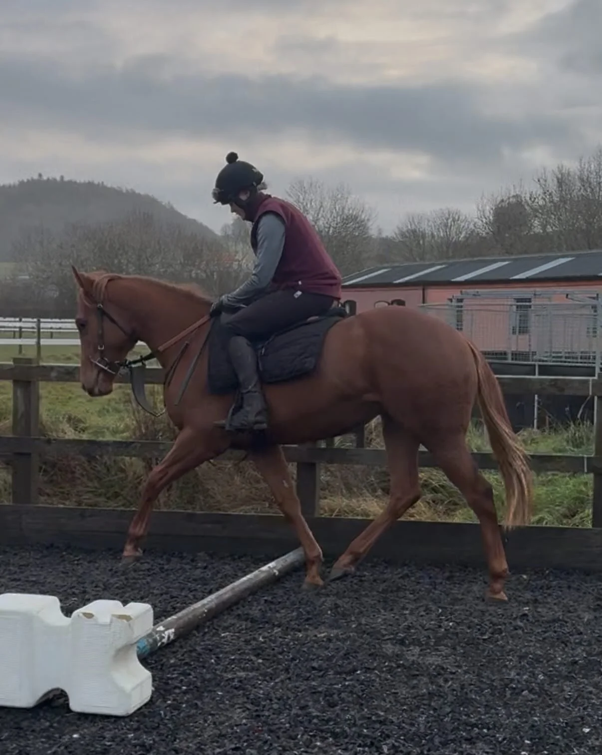 Kids learning about life this morning with Abby and Charlie in the saddle 

Hallie and Abby @lamont_racing 
Sid and Charlie @LamontRacing 
Simon and Charlie @ursamajorracing 
Alvin and Abby 

Lovely to see the progression every day, top job by the te