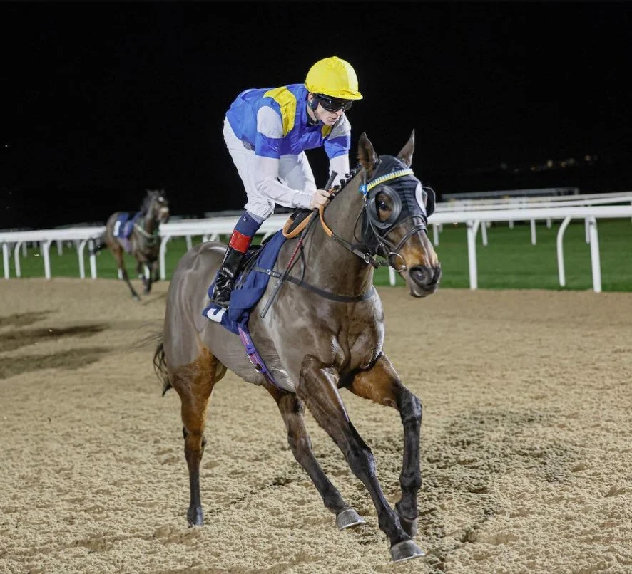 WINNER 

Concert Boy flashes home in style under Darragh Keenan for @makingheadwayracing_ 

🏆🏆🏆

Winner number 19 of the year giving us a career best season 🙌🏾

#teamworkmakesthedreamwork