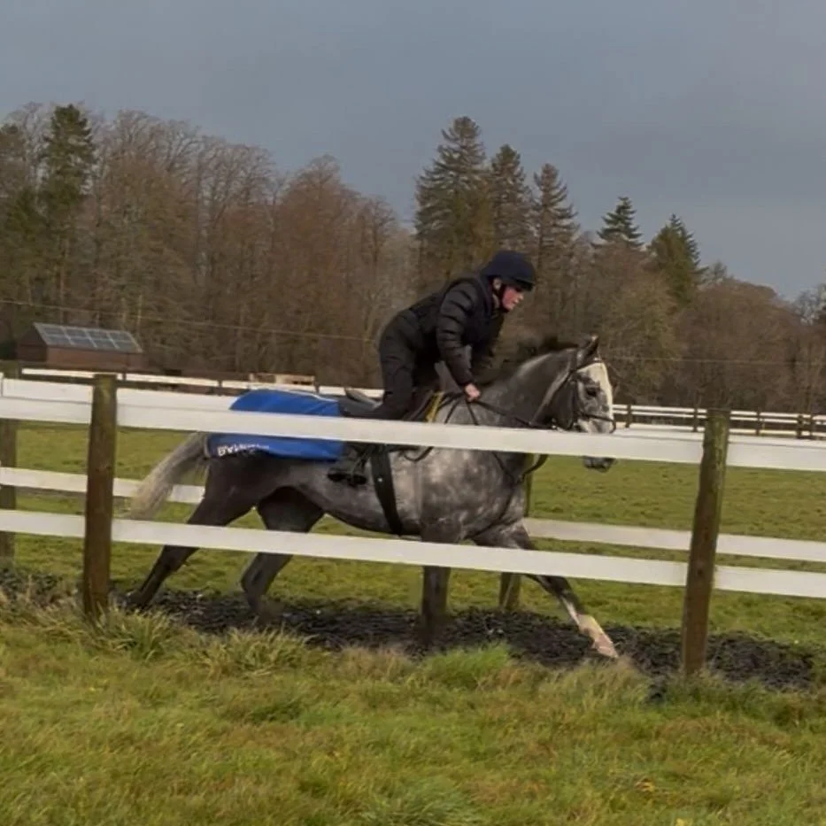 Gressington out having a leg stretch with Harvey on board

@ursamajorracing