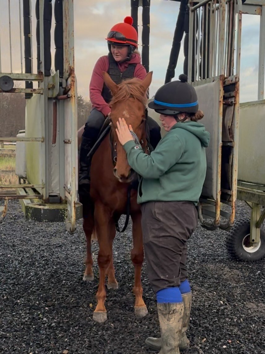 Two of the babies having their first look at the stalls this morning. 

A nice relaxed experience for them, top job team 💕