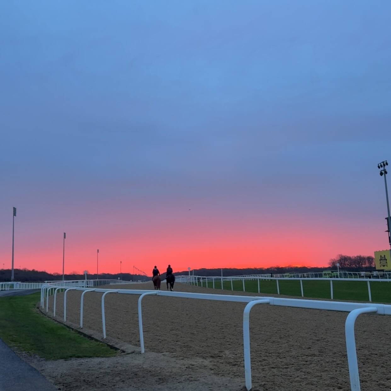 A Wednesday morning trip to Newcastle with Chin Chin Ginny and Katie, an unraced Time Test filly. 🌅