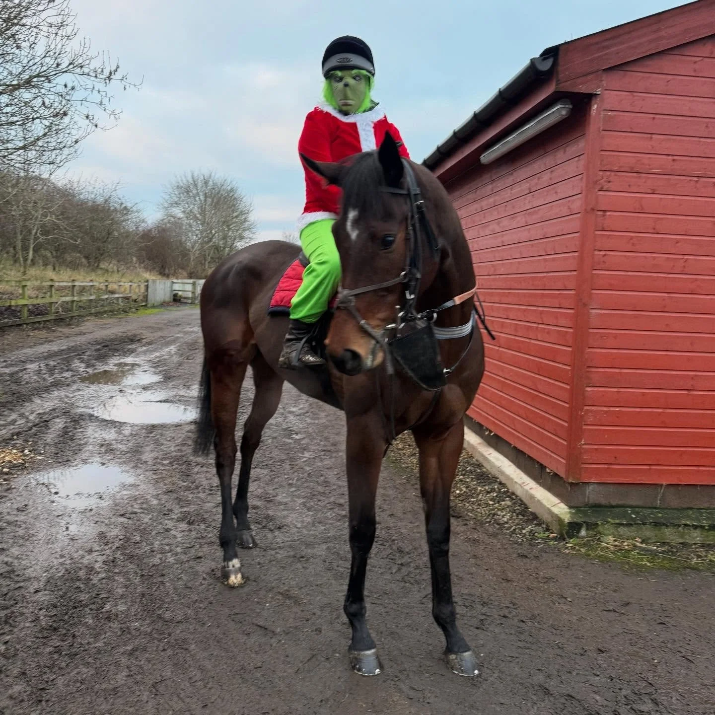 Oor Wee Grinch is busy tomorrow but landed in this morning for couple of Christmas Eve lots so the girls could get an early finish ready for Santa coming 🎅🏼🎄