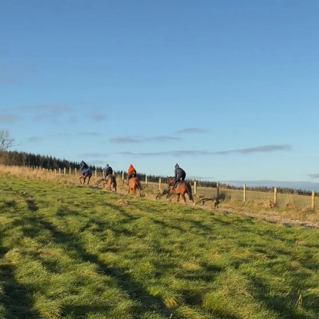 A productive and sunny Boxing Day on the yard. 

Next planned runners Sunday and Monday, so feet up and tuning into the jumps racing with a cuppa for the afternoon🏇🏼