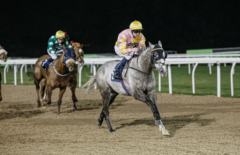 WINNER 

Gressington brings up our 20th winner of the season under a 🍑 from Darragh Keenan.

Well done to his owners @ursamajorracing , Eddie Cassie and Jim Wilson. 

A happy night @newcastleraces 🏇🏼

Huge well done to the top team at home for a b