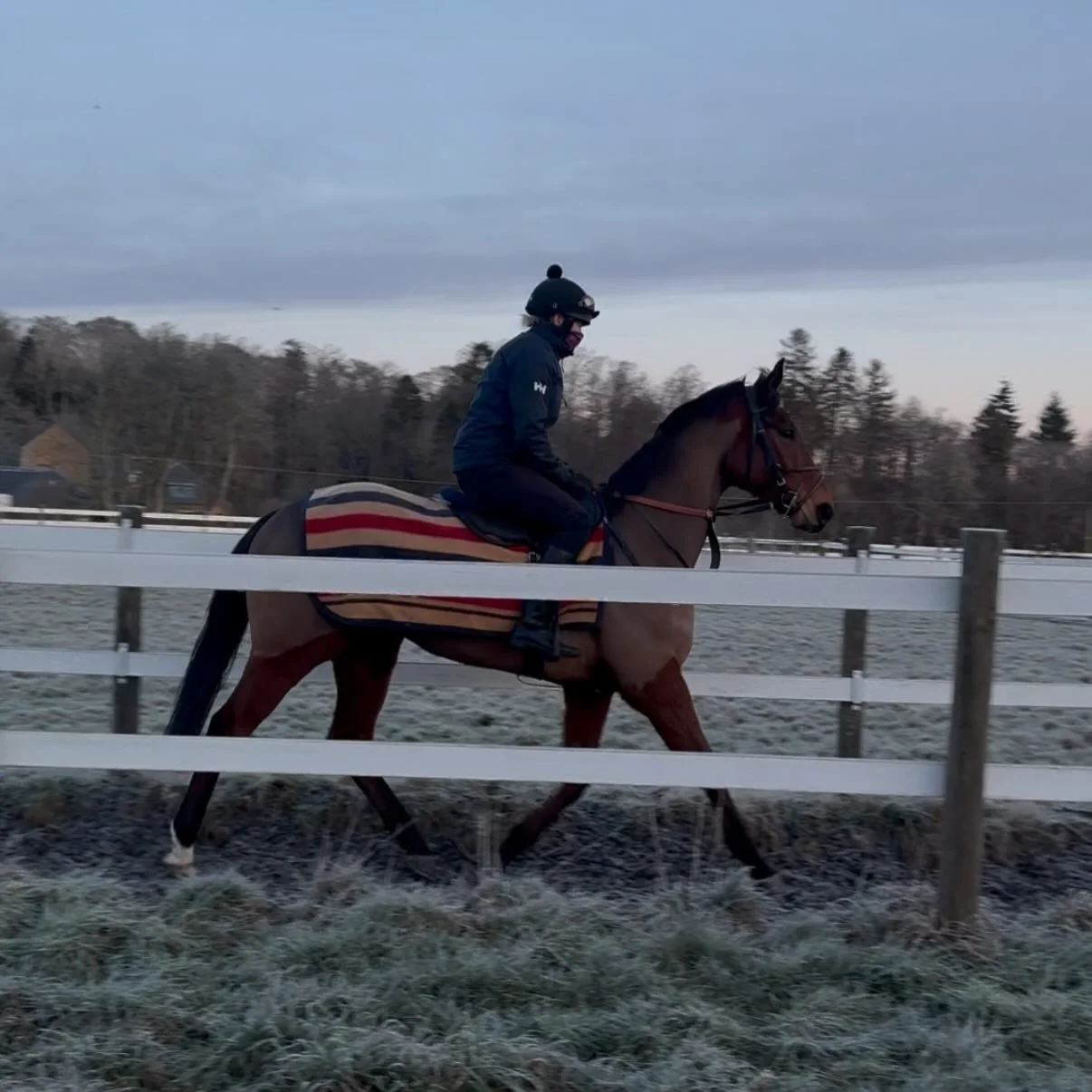 Look who&rsquo;s back &hellip;.. 😍😍😍

12 weeks, 2 days until the flat returns to @musselburghracecourse and Gweeds can&rsquo;t wait 🏇🏼

@lamont_racing