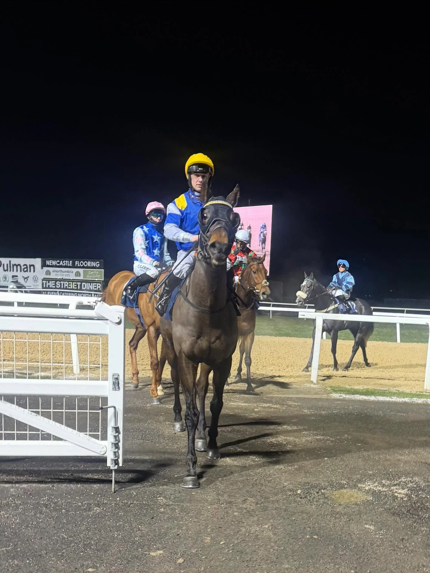 Concert Boy 
🥉 🥉🥉

Continuing his exceptionally consistent run of good form. 

He won BTO to boot.

A legend is his own right 💕

@makingheadwayracing_