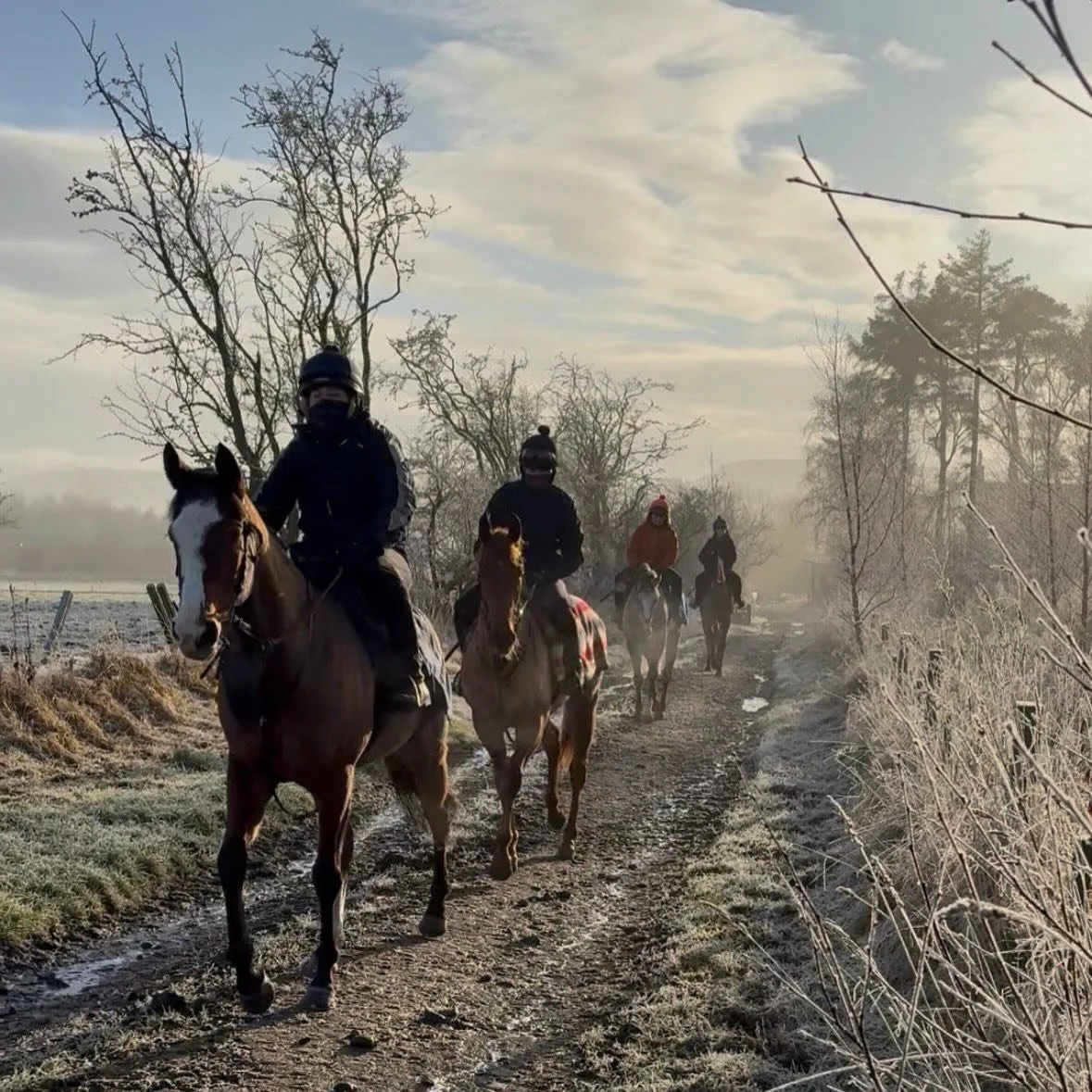 A beautiful but cold morning 🥶

Orbital Chime
Hallie (unnamed Sotsass)
Gressington 
Kitty (unnamed Time Test)