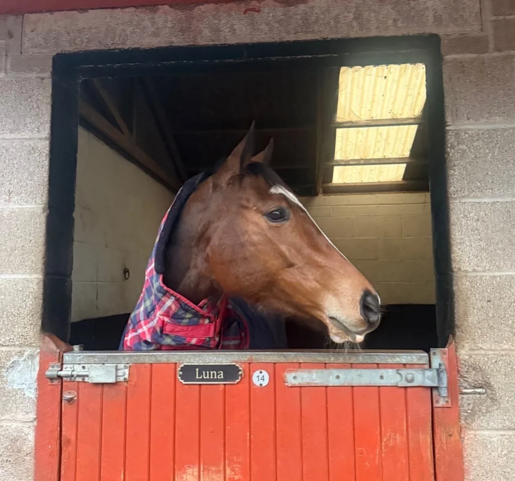 The main lady is back from her holidays 

👑👑👑