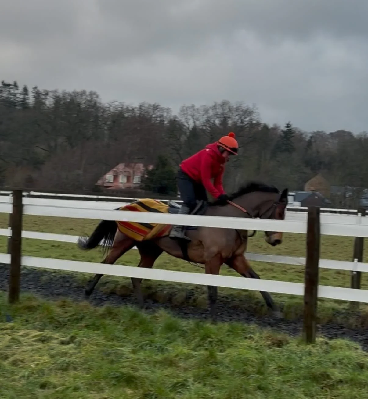 A soggy Friday at Lindean

Epidavros 
Court Inn Session 
Luna A Inbhir Nis 
Black Storm, Hallie, Alvin, Baby Rover