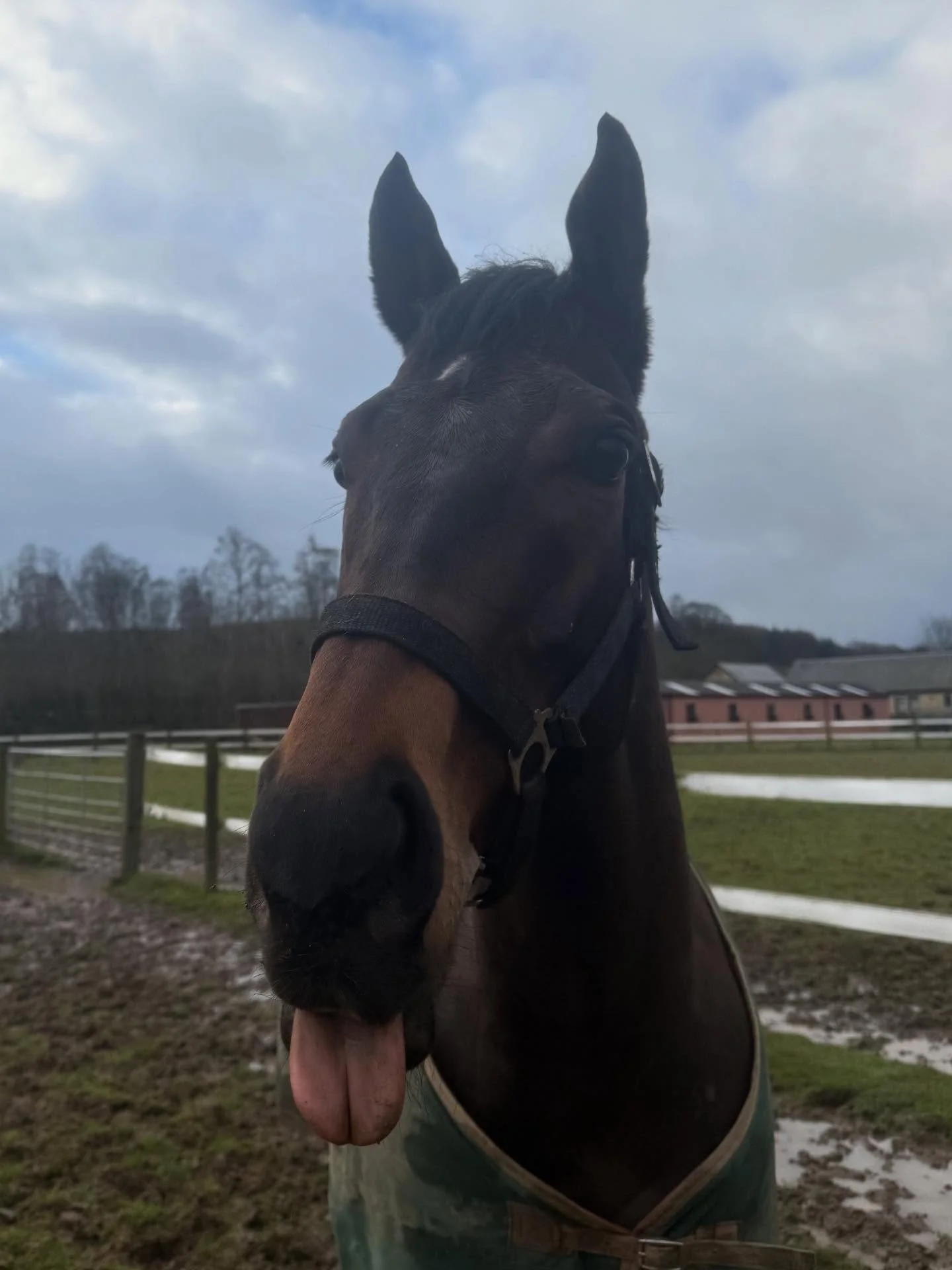 Happy Sunday from Concert Boy 👅 

@makingheadwayracing_