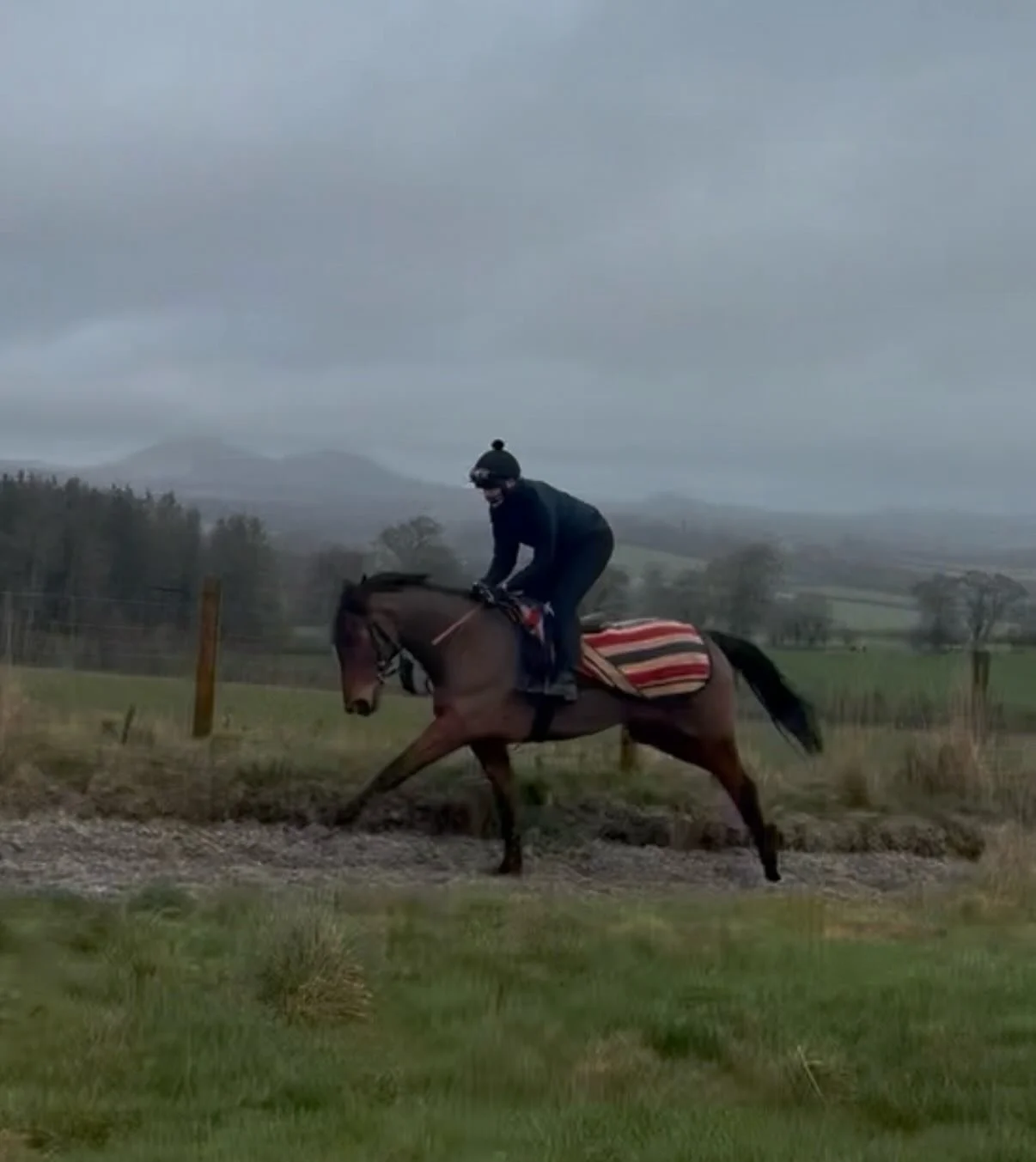 Figjam popping away well ahead of the turf season 😍

@lamont_racing