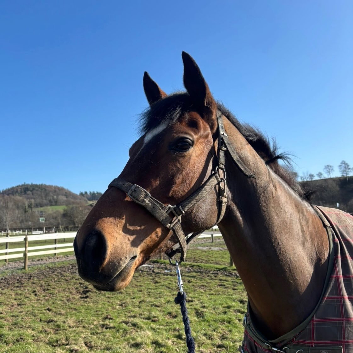Blue skies giving us all an extra spring in our step today. 

📸 Epidavros enjoying some sun ☀️