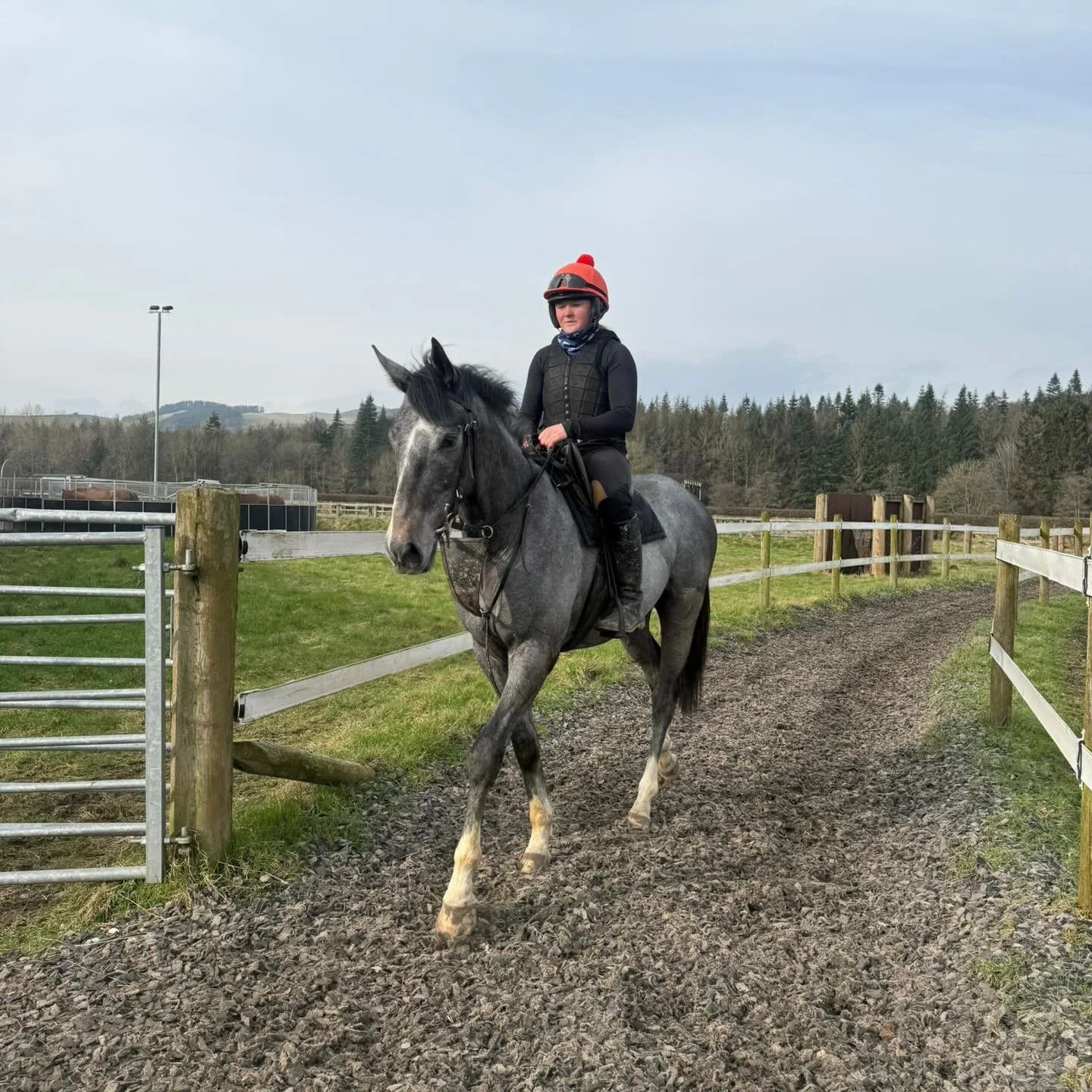 Court Inn Session looking well in the sunshine this morning ☀️

@ursamajorracing