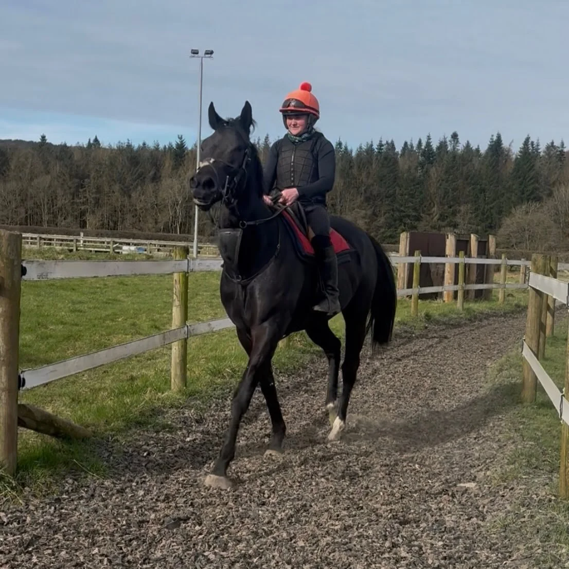 Black Storm back from his holidays looking fab in the sunshine ☀️ 

@ursamajorracing 💕💛