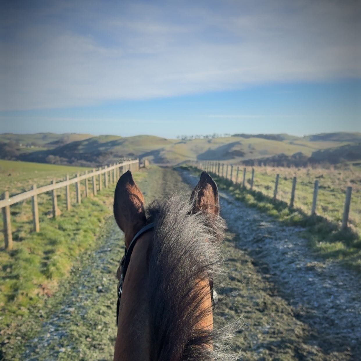 The view from Epidavros on a bright and frosty spring morning, the sun is shining and the turf is just round the corner 🌸