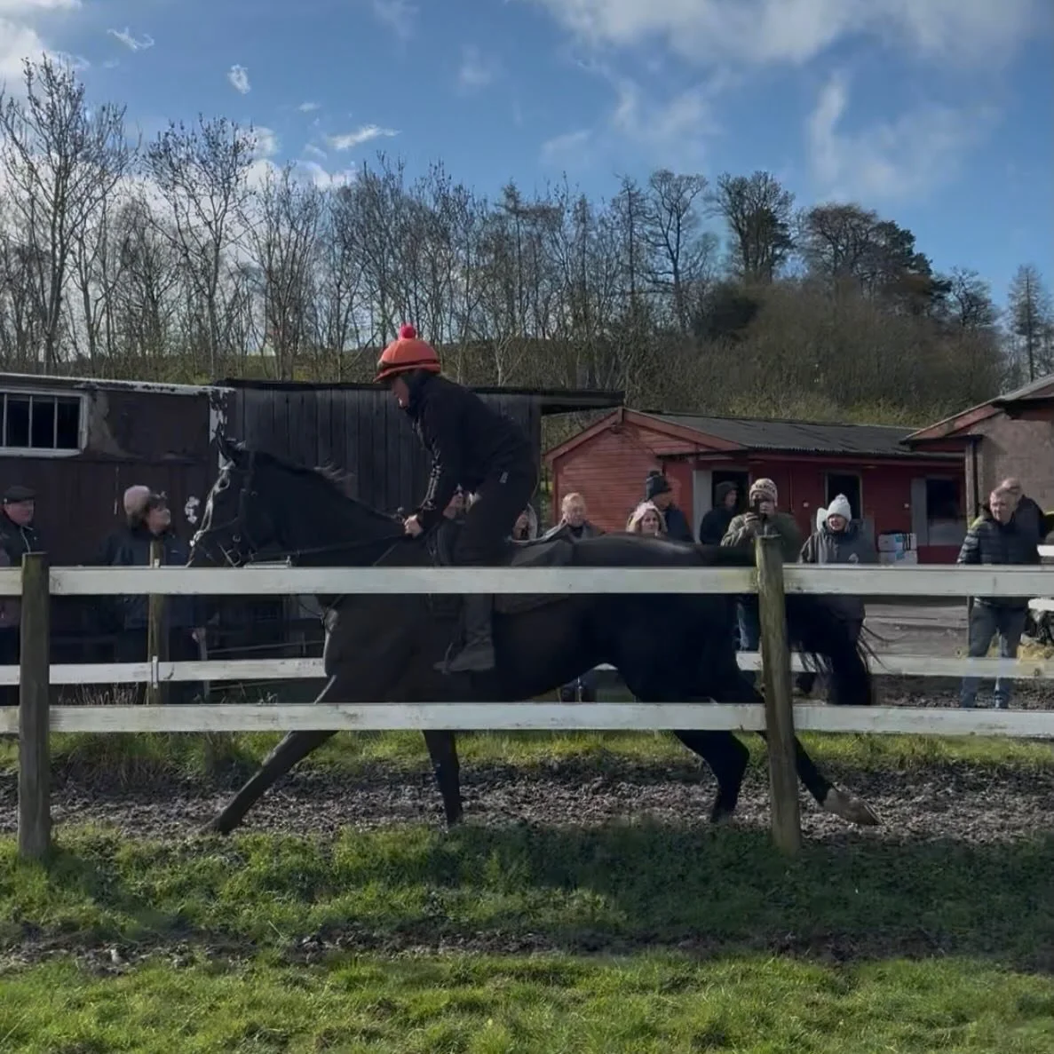 We had some of the team from URSA Major Racing Ltd in to see their horses today! 

We managed to dodge the showers and they seem a few out having a stretch before enjoying some breakfast. 

Great chance to catch up with some lovely folks and make som