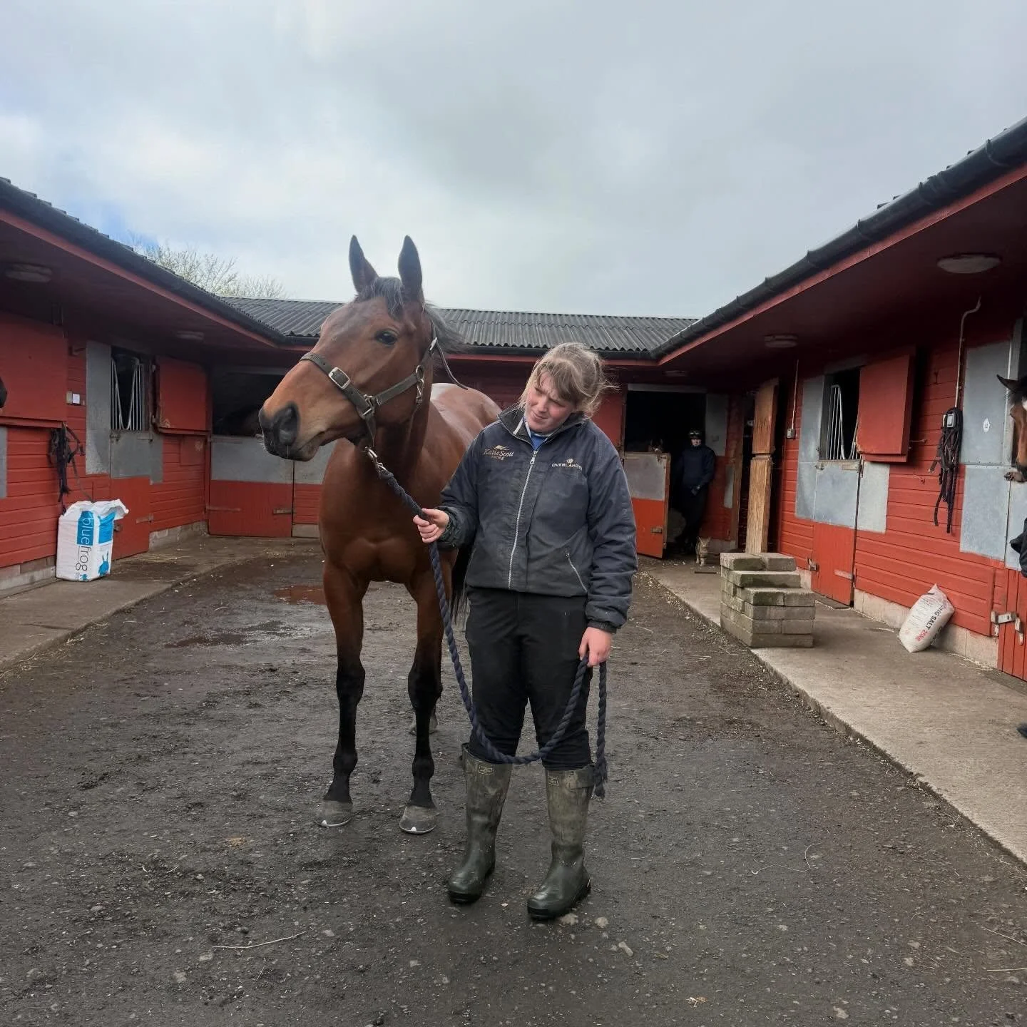 Today we had some of the team from Lamont Racing in to see their string. All looking well and a nice catch up ahead of an exciting summer.

Abby and Daisy doing the riding today with back up from Casey and Chloe who had the yard ship shape. 

Murray 
