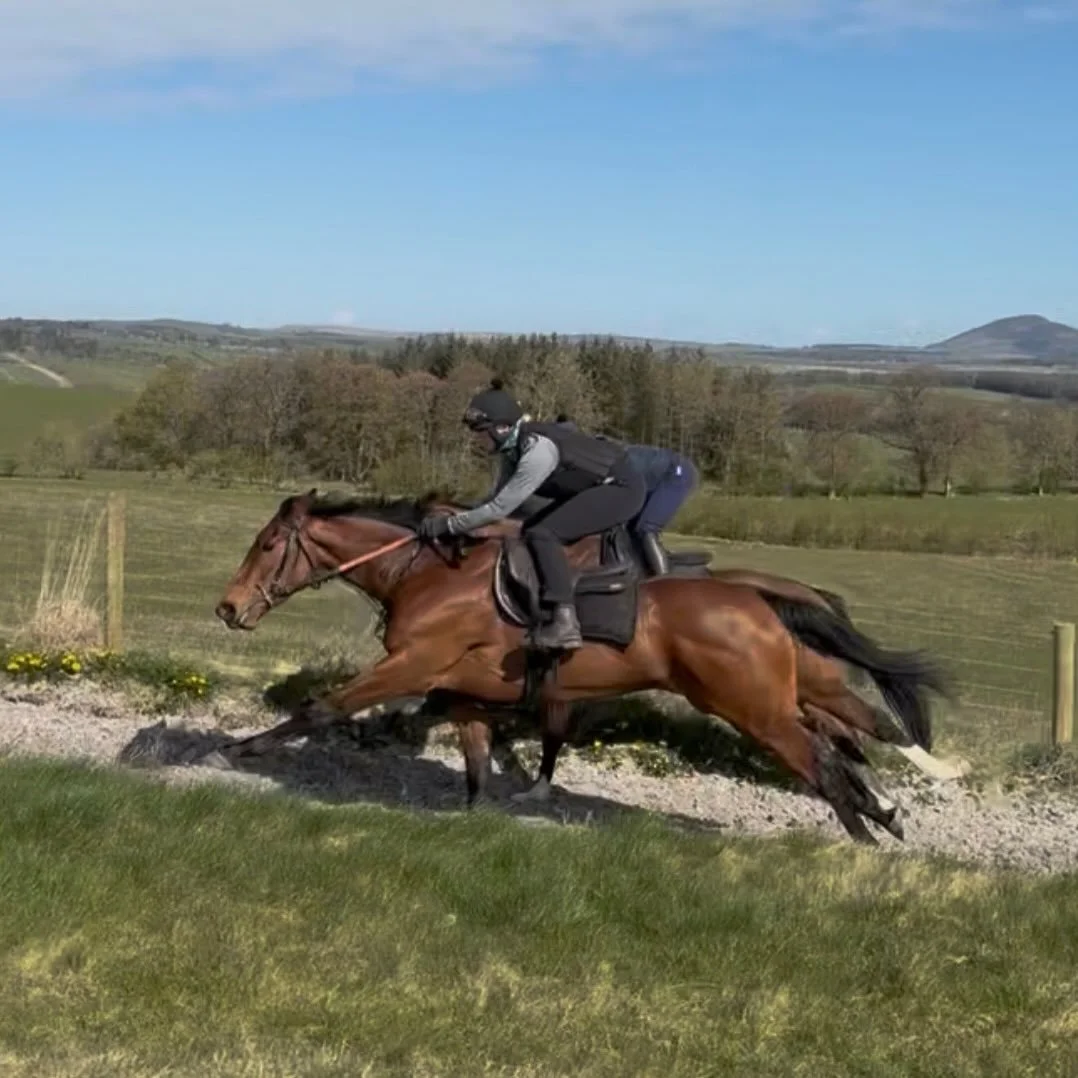 Sunday Tuesdays&rsquo;s ☀️